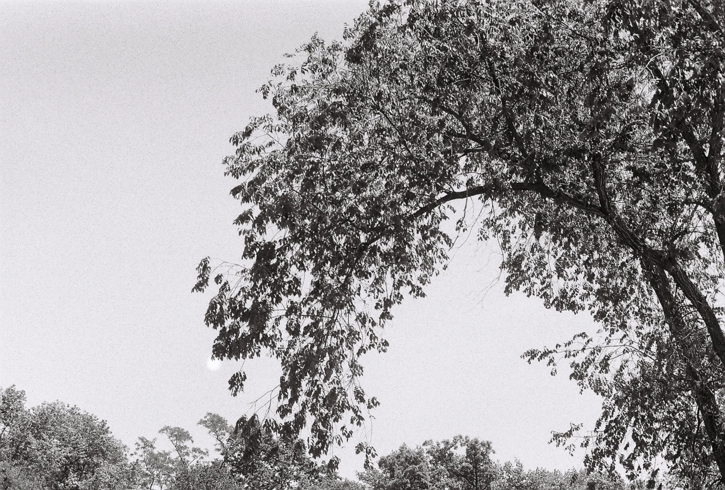R1-08259-0027.JPG