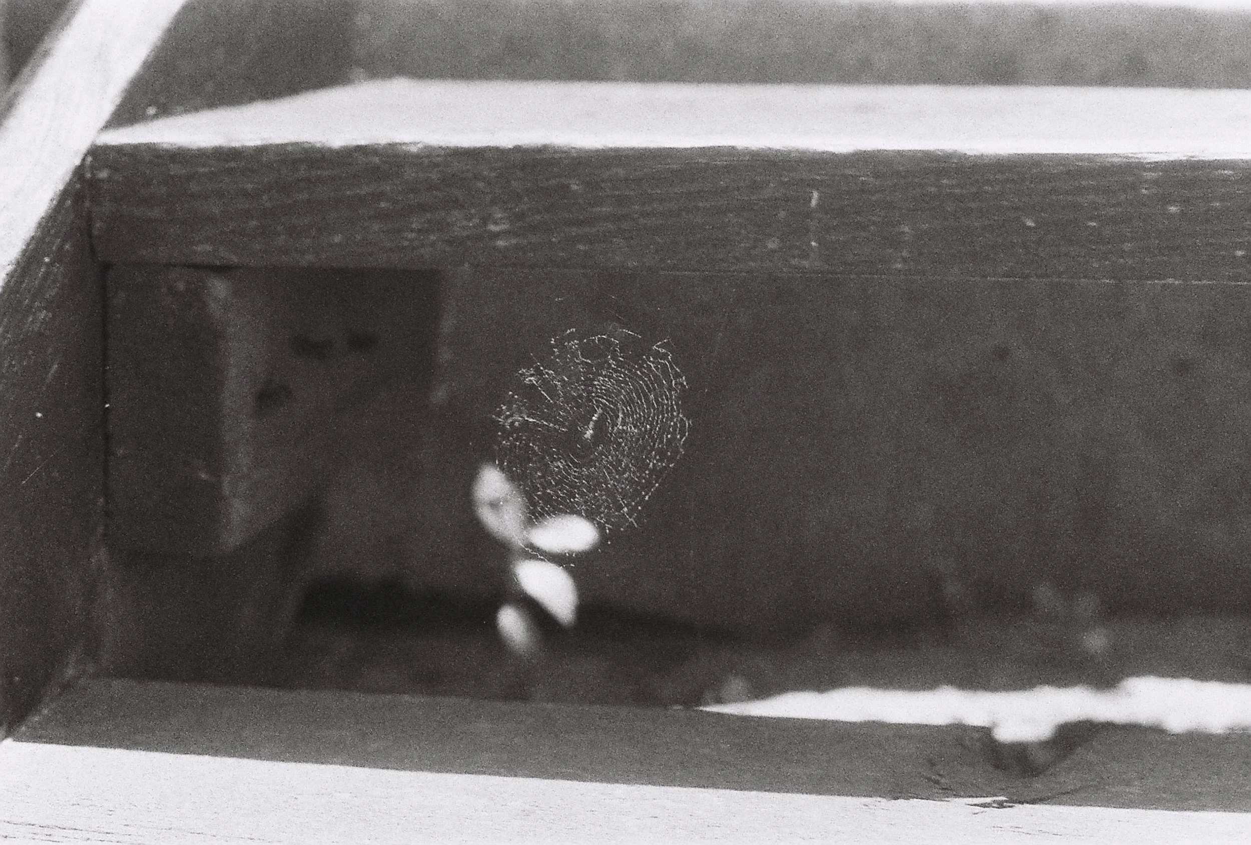 R1-08259-0012.JPG