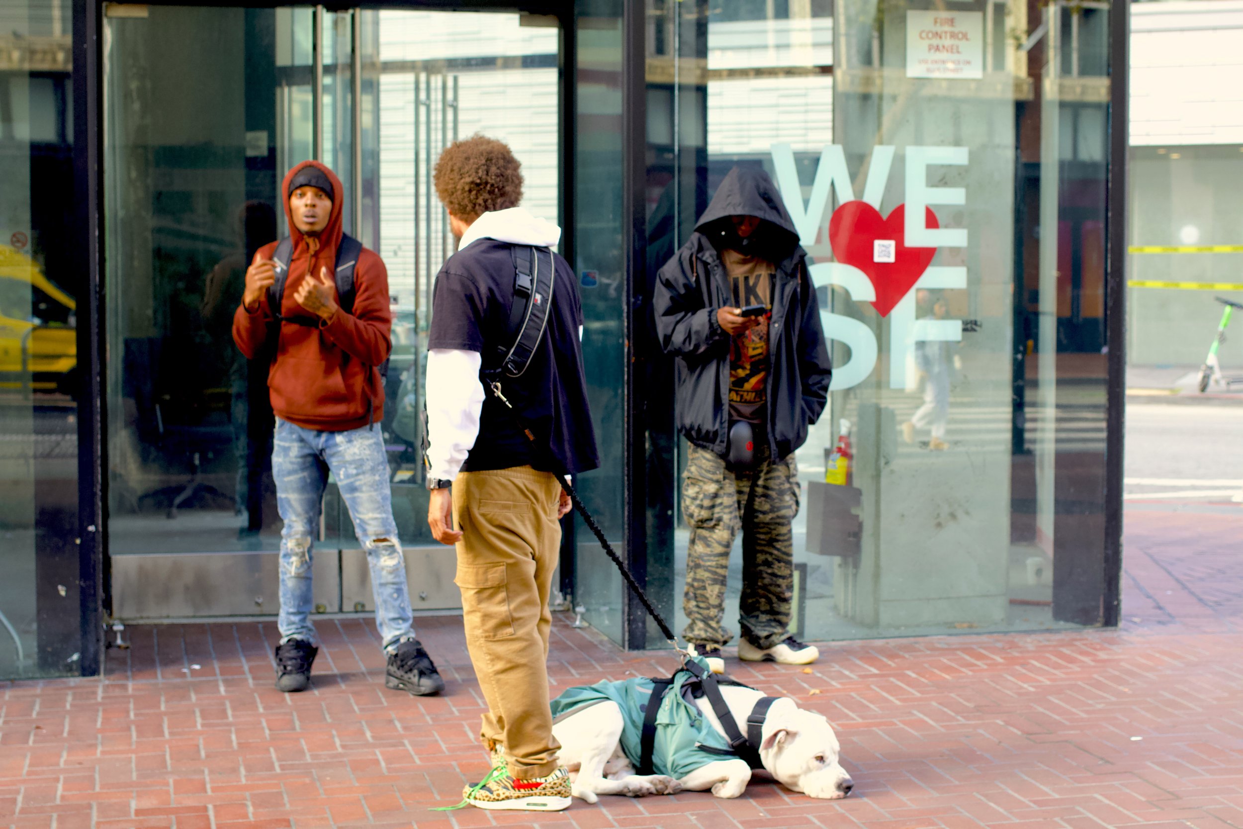 Three guys a dog and fistacups.jpeg