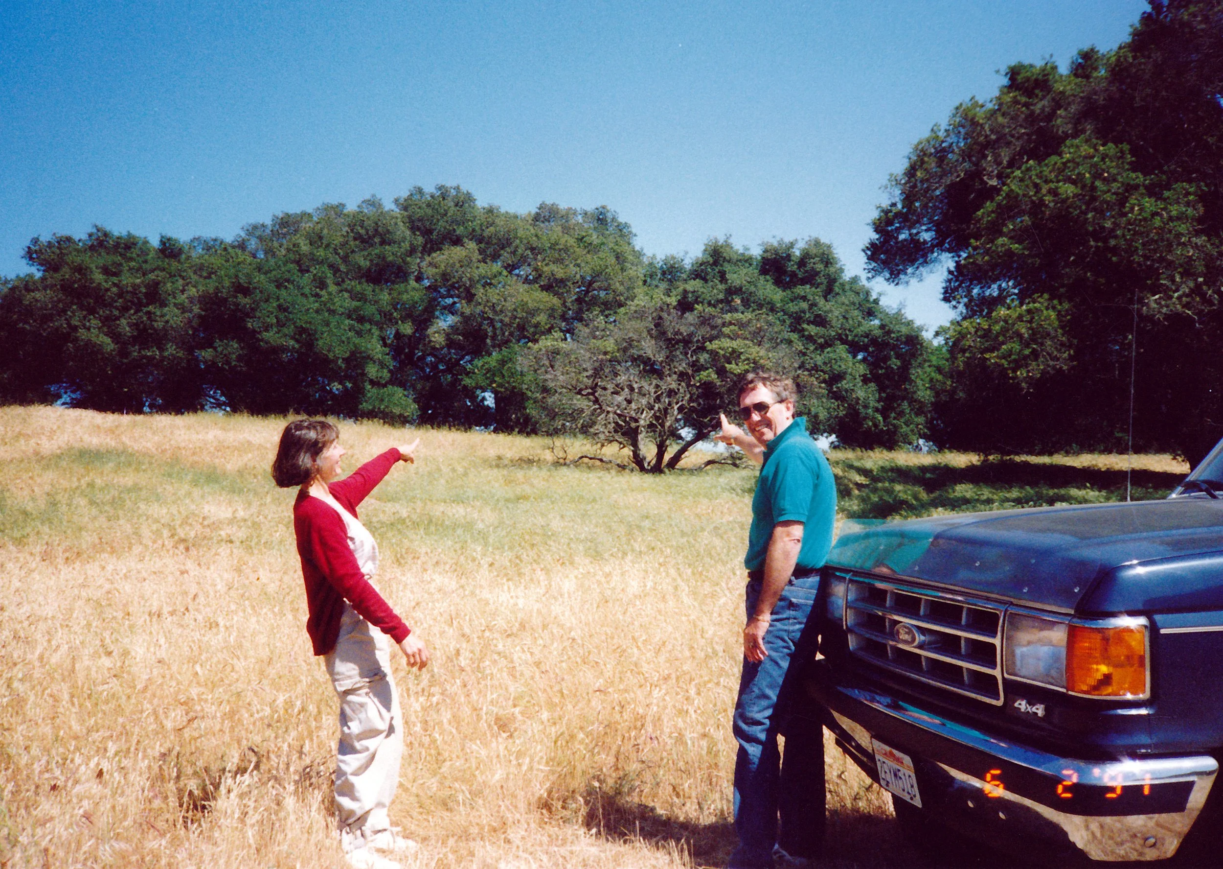 06-004.jpg