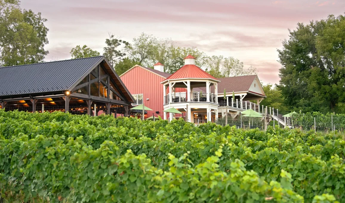 Cana Vineyards.webp