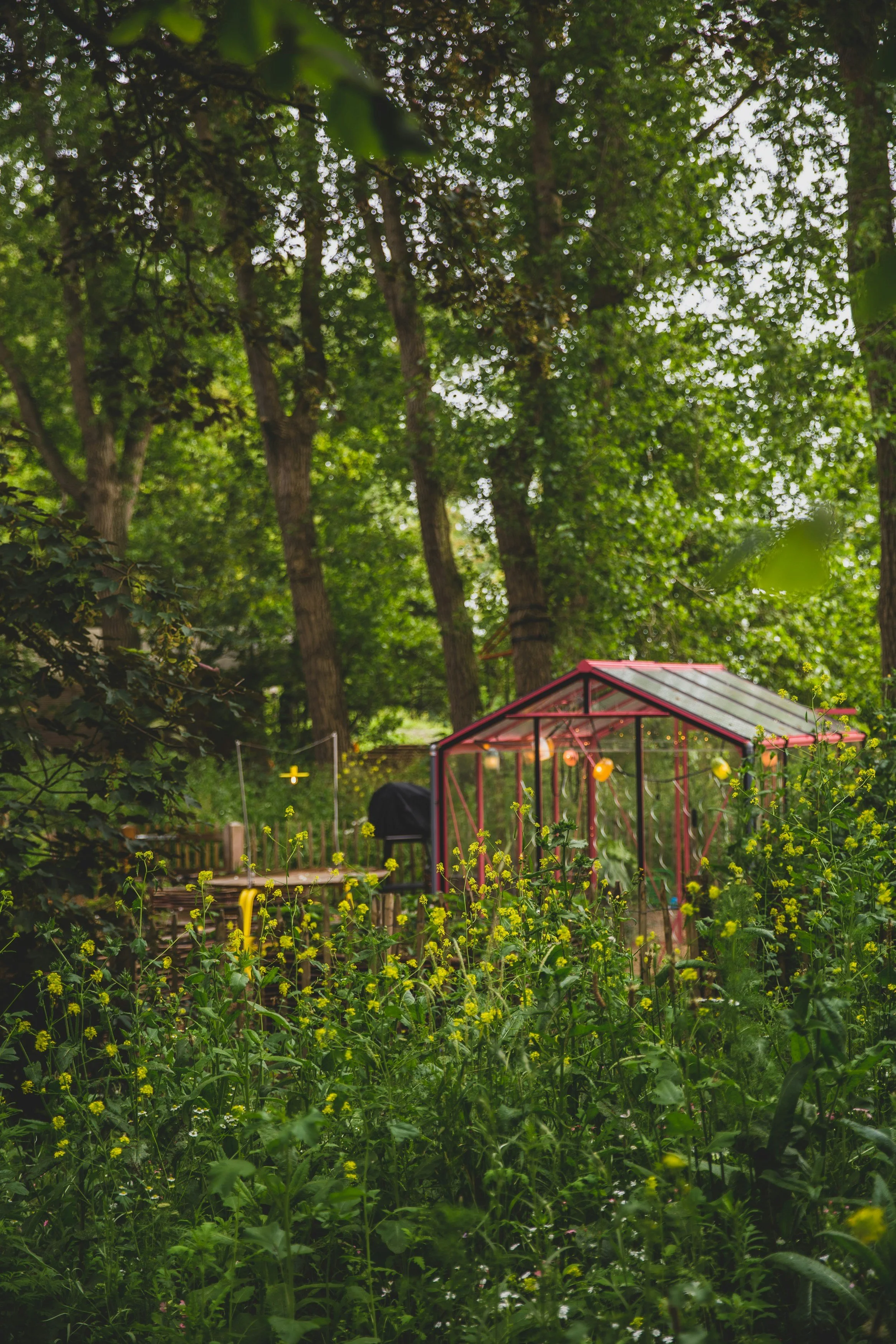 A red greenhouse surrounded by green plants and trees in a lush garden.