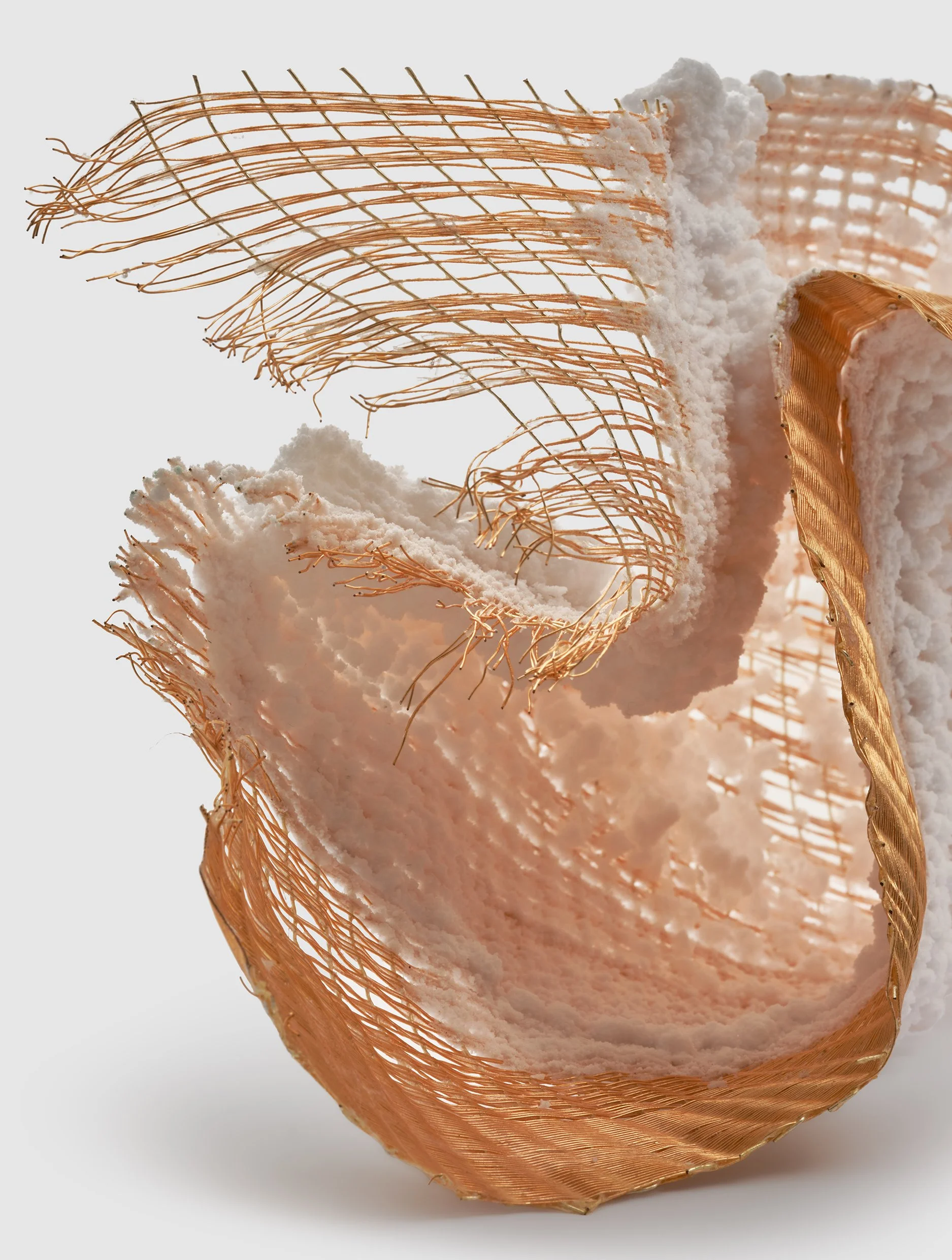  CA`26`CE, detail 
