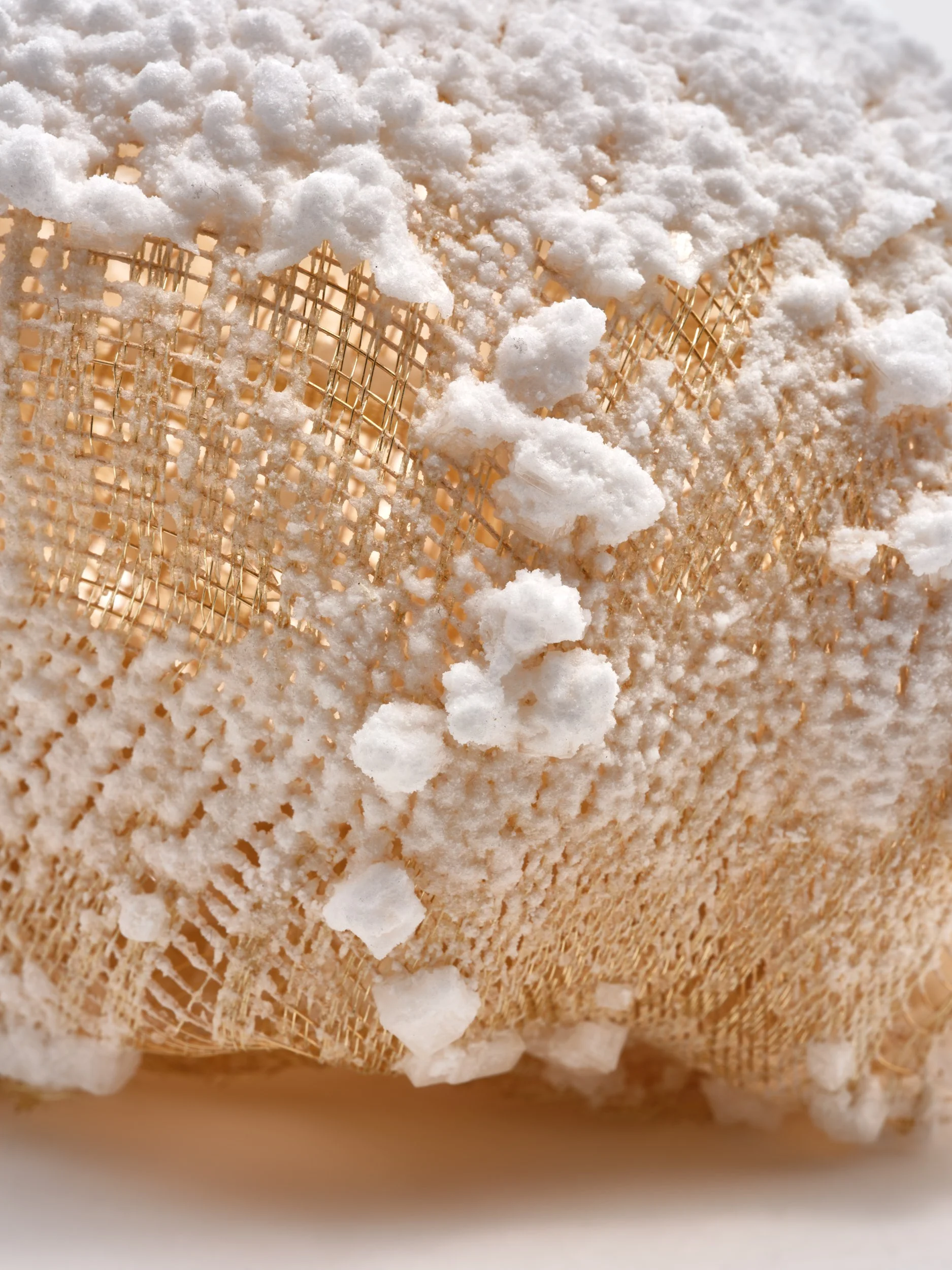  AV`25`CE, detail 