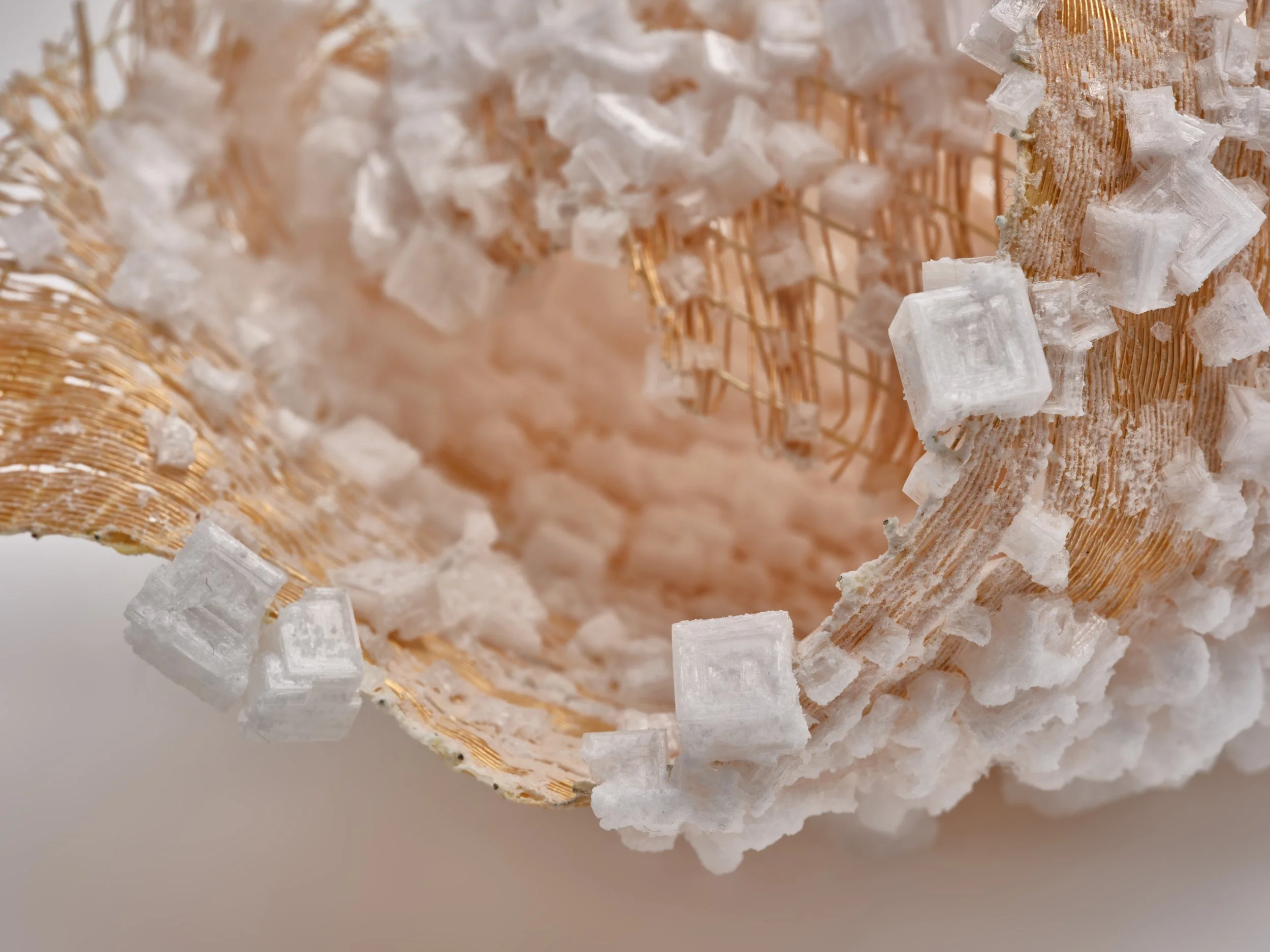  LC`25`CE, detail 