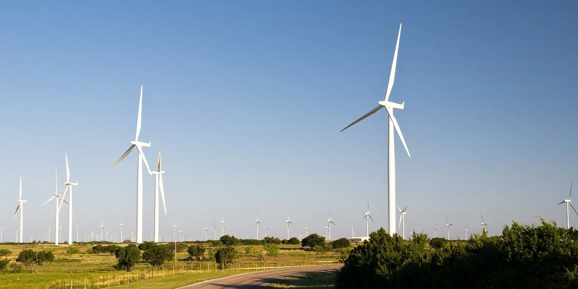 Accredo Packaging Sets Ambitious Sustainability Goals for 2025