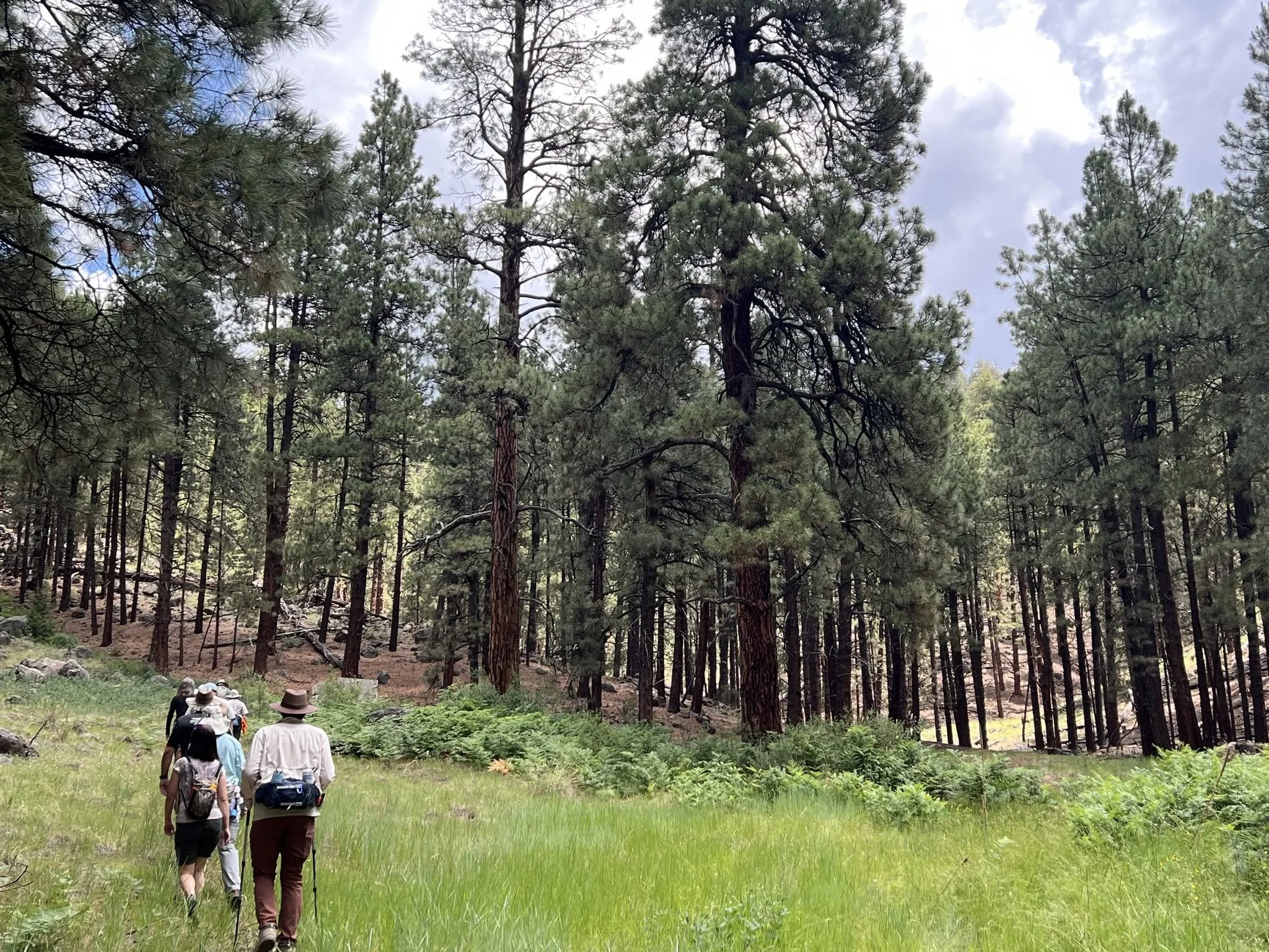 VVAC In The Off Season: Celebrating The History and Cultures of Arizona&nbsp;From Prehistory to 2026
