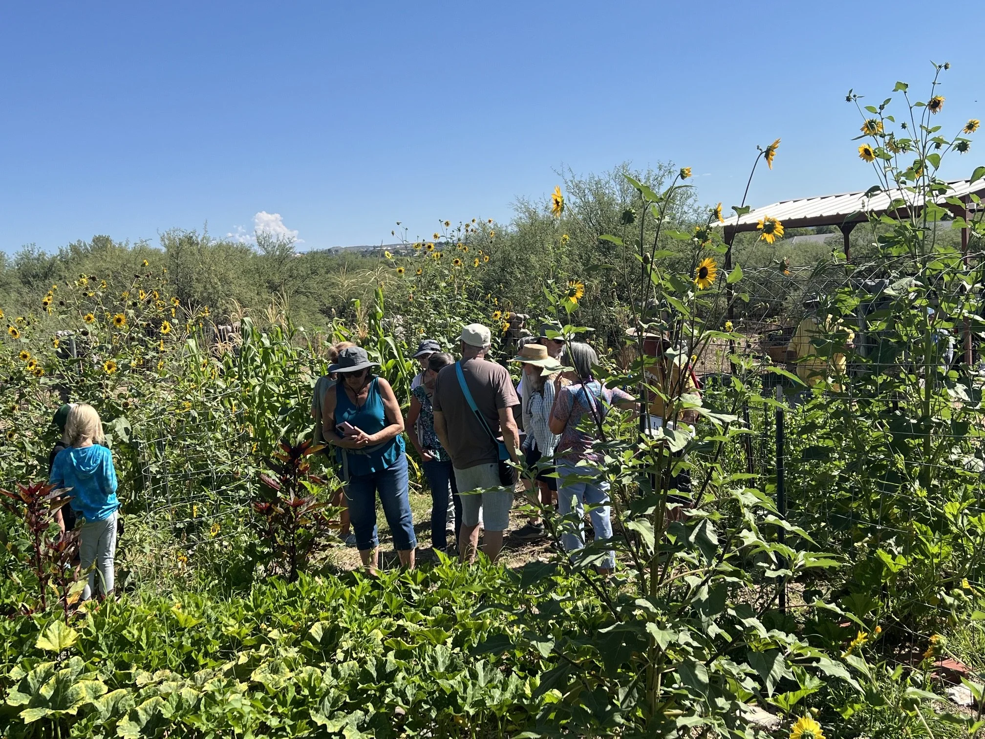 Connecting Ethnobotany and Archaeology at our Native American Heritage Garden