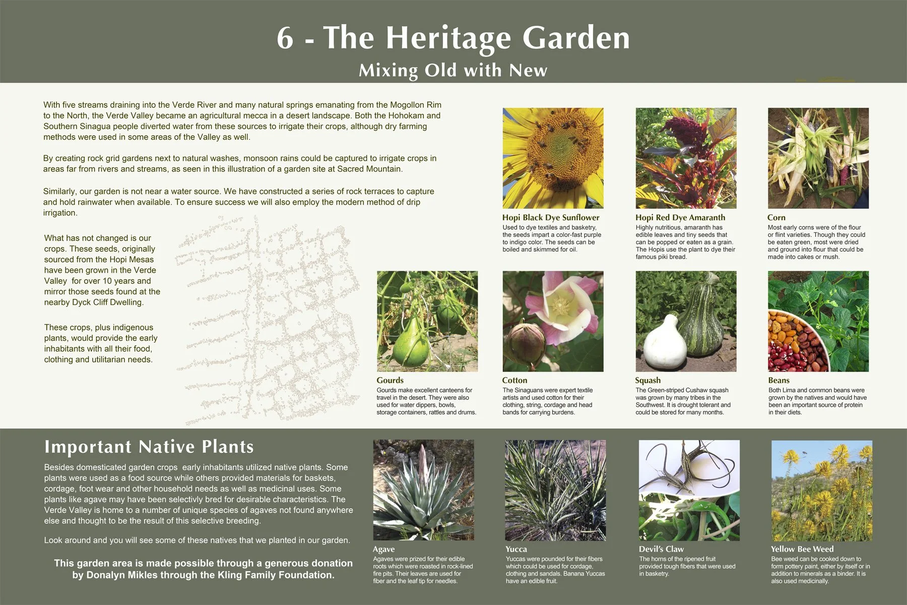 Informational poster titled "6 - The Heritage Garden: Mixing Old with New," detailing native plants used in traditional agricultural practices in the Verde Valley.