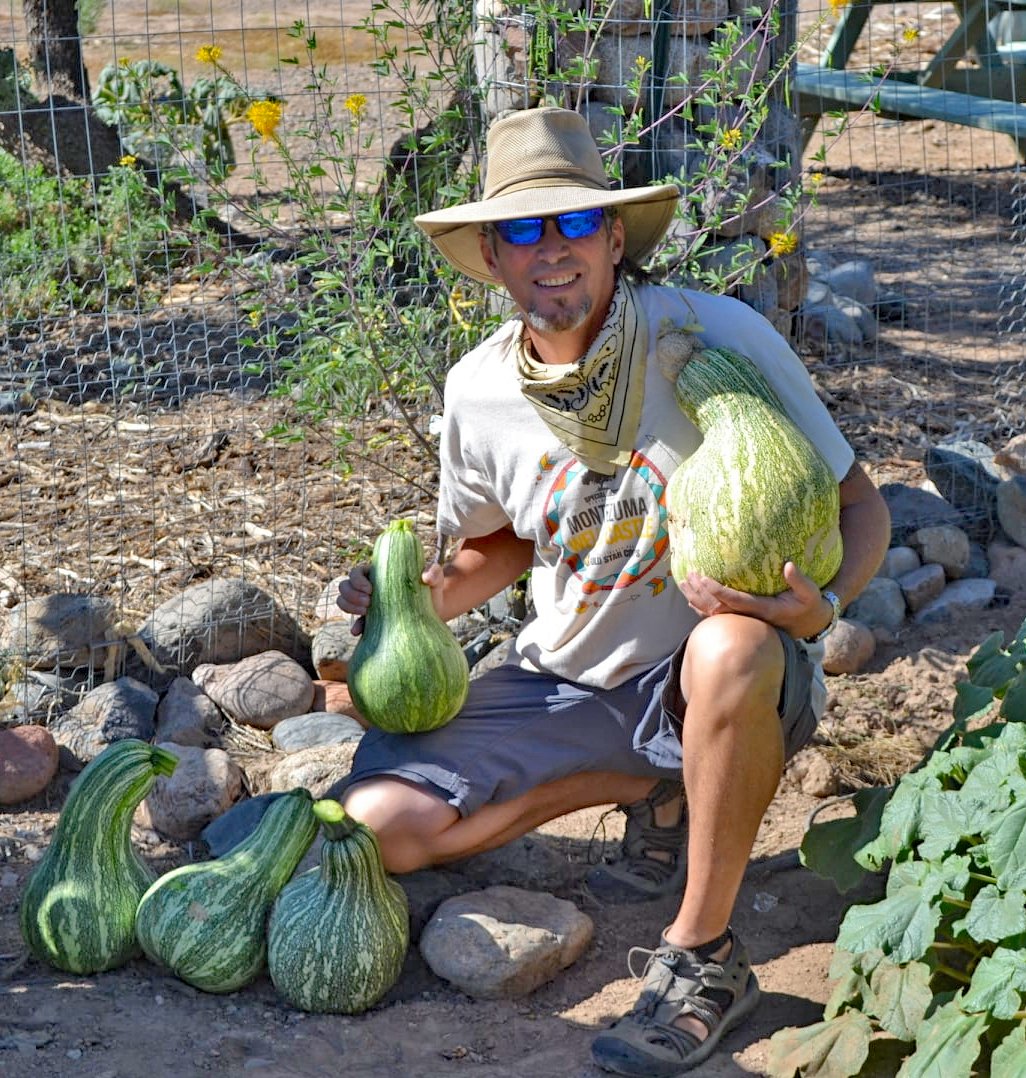 Person in a garden holding large gourds.