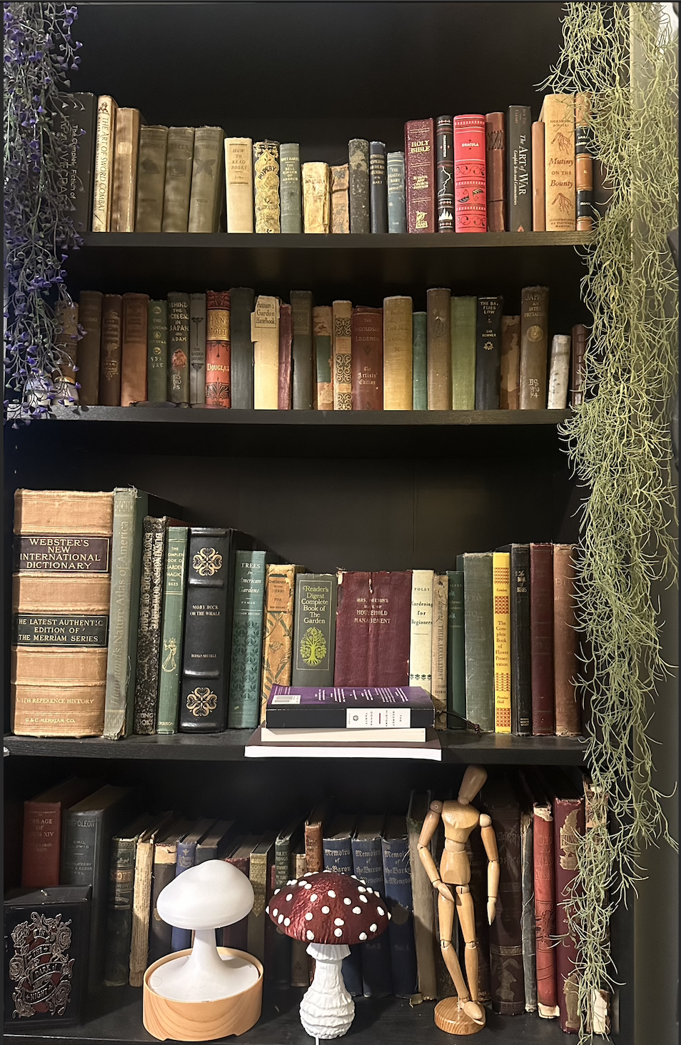 Antique books with cottage core decor like fake wisteria and fake Spanish moss, a mushroom lamp, and wooden figurine.
