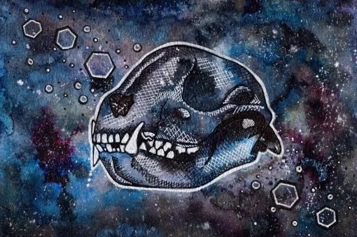 C13 - Raccoon Skull (Horizontal)