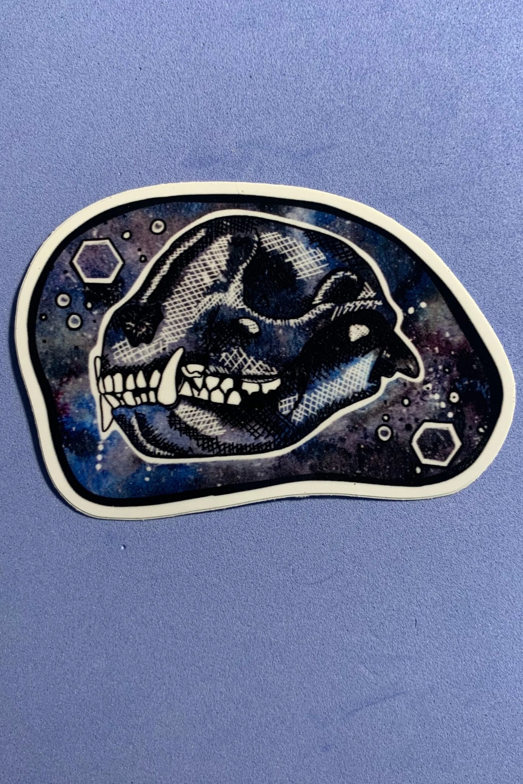 S4 - Raccoon Skull