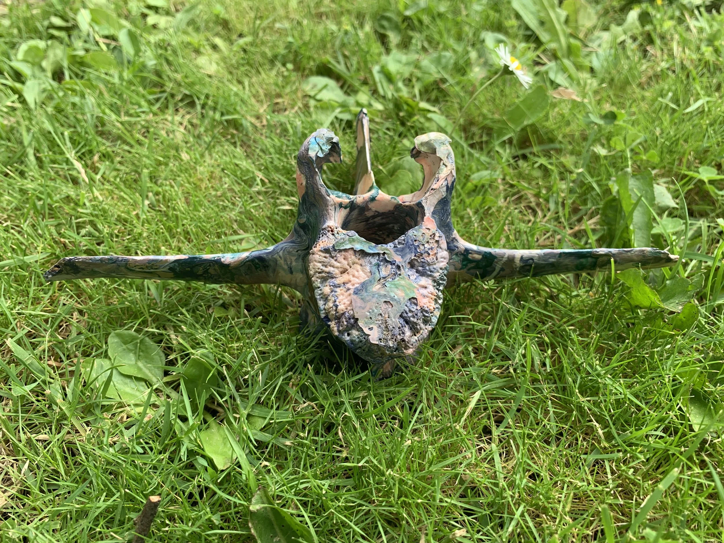Vertebrae blue and pink grass.jpeg