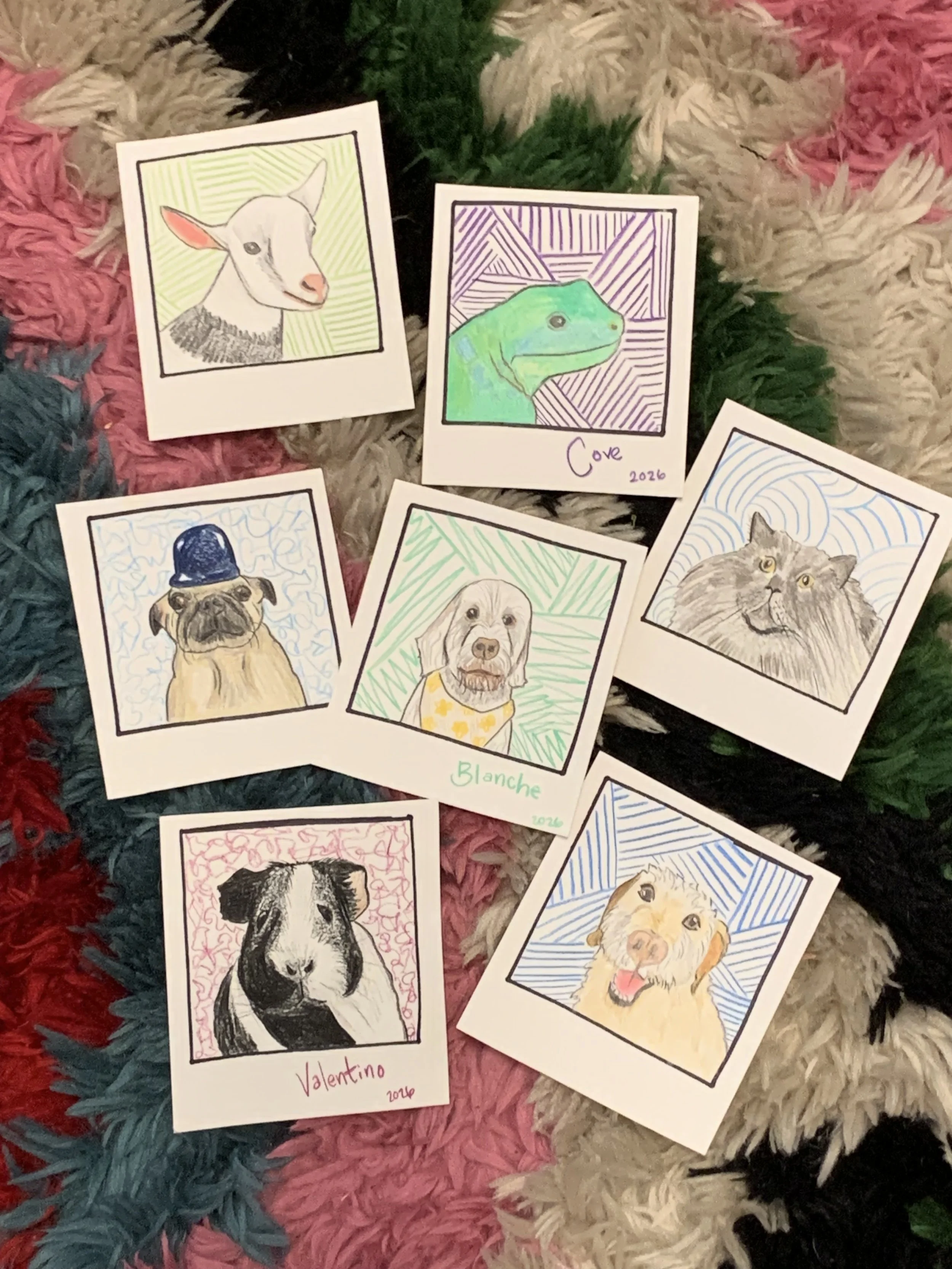 IMG_7972.jpeg
