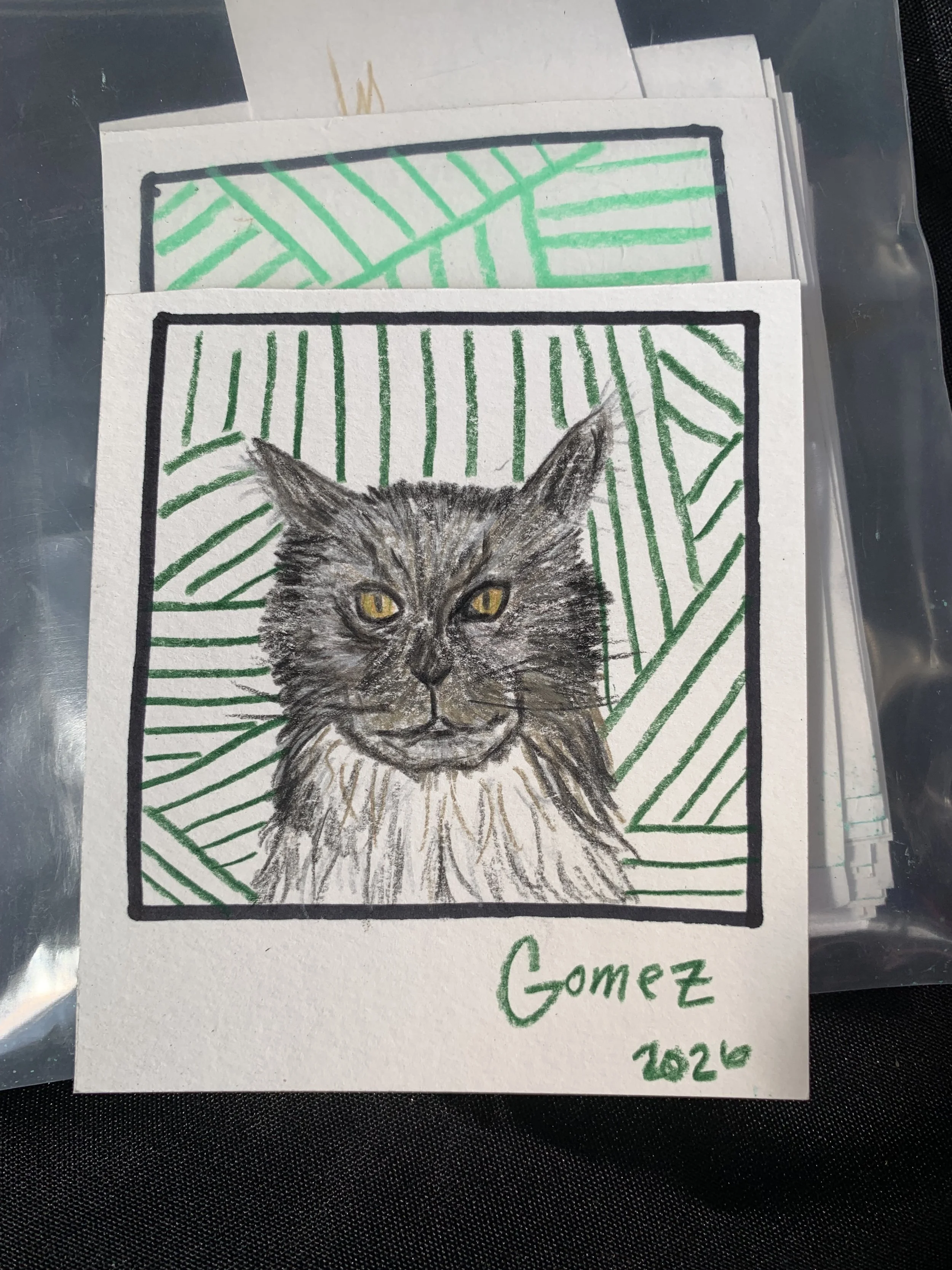 IMG_8375.jpeg