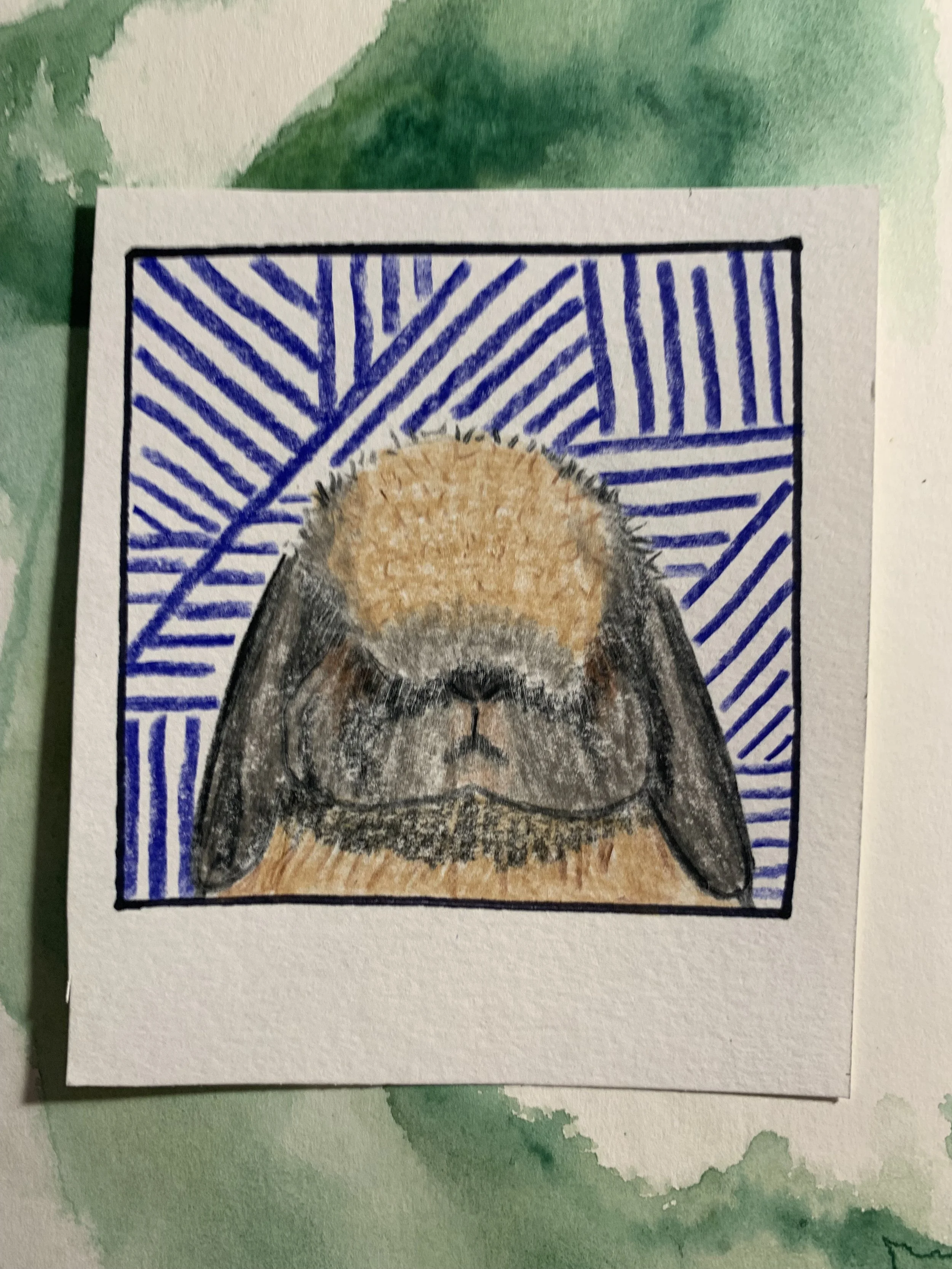 IMG_8047.jpeg