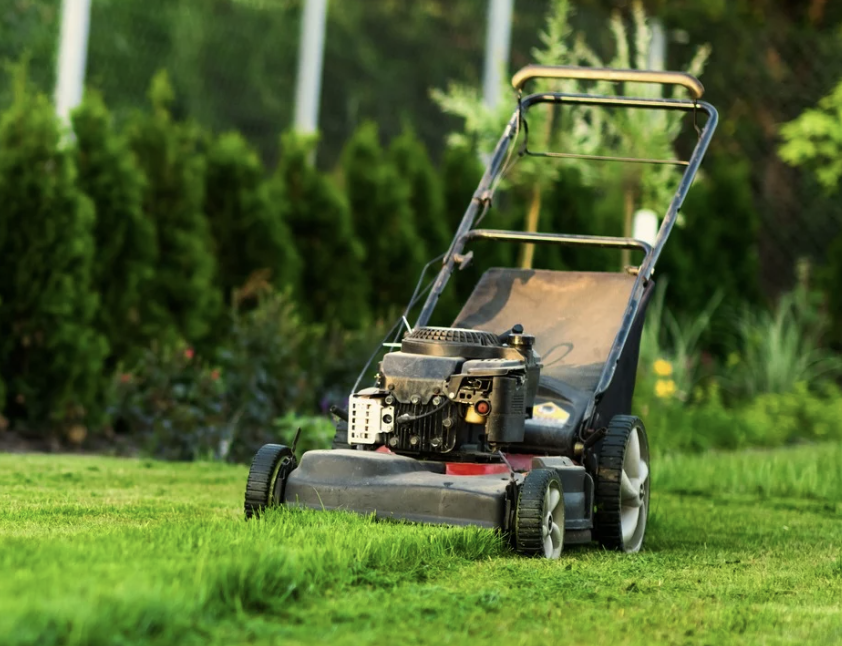 Lawn mower on a freshly cut lawn with a background of trees and bushes.