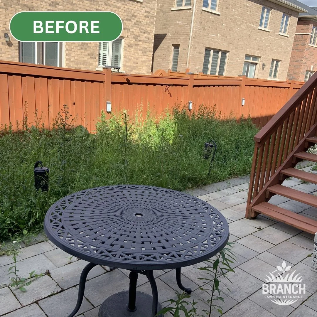 Branch to Lawn - Before & After Template (1).jpg
