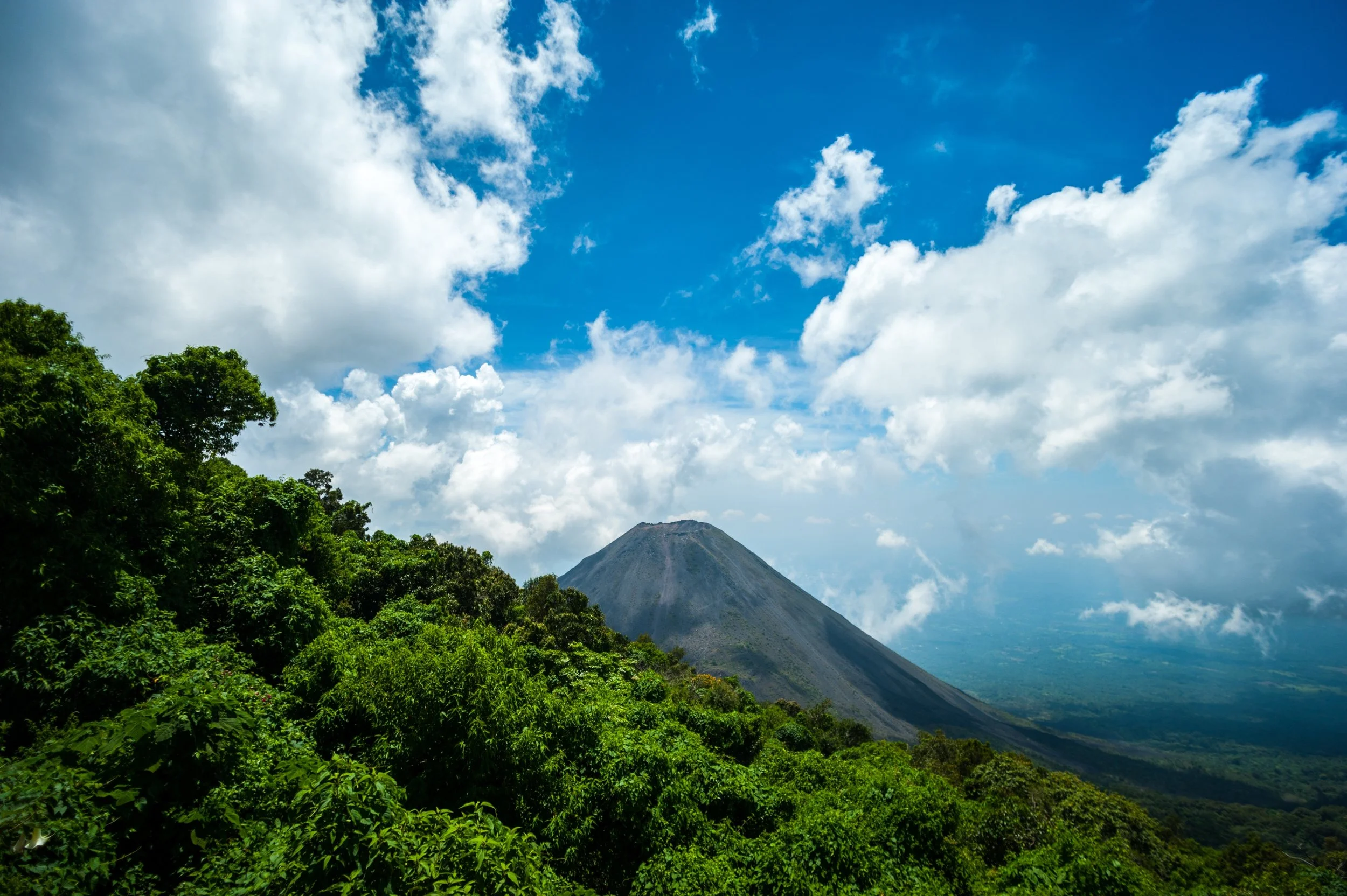 Lush green trees in foreground, towering volcano in the middle, blue sky with white clouds in background.