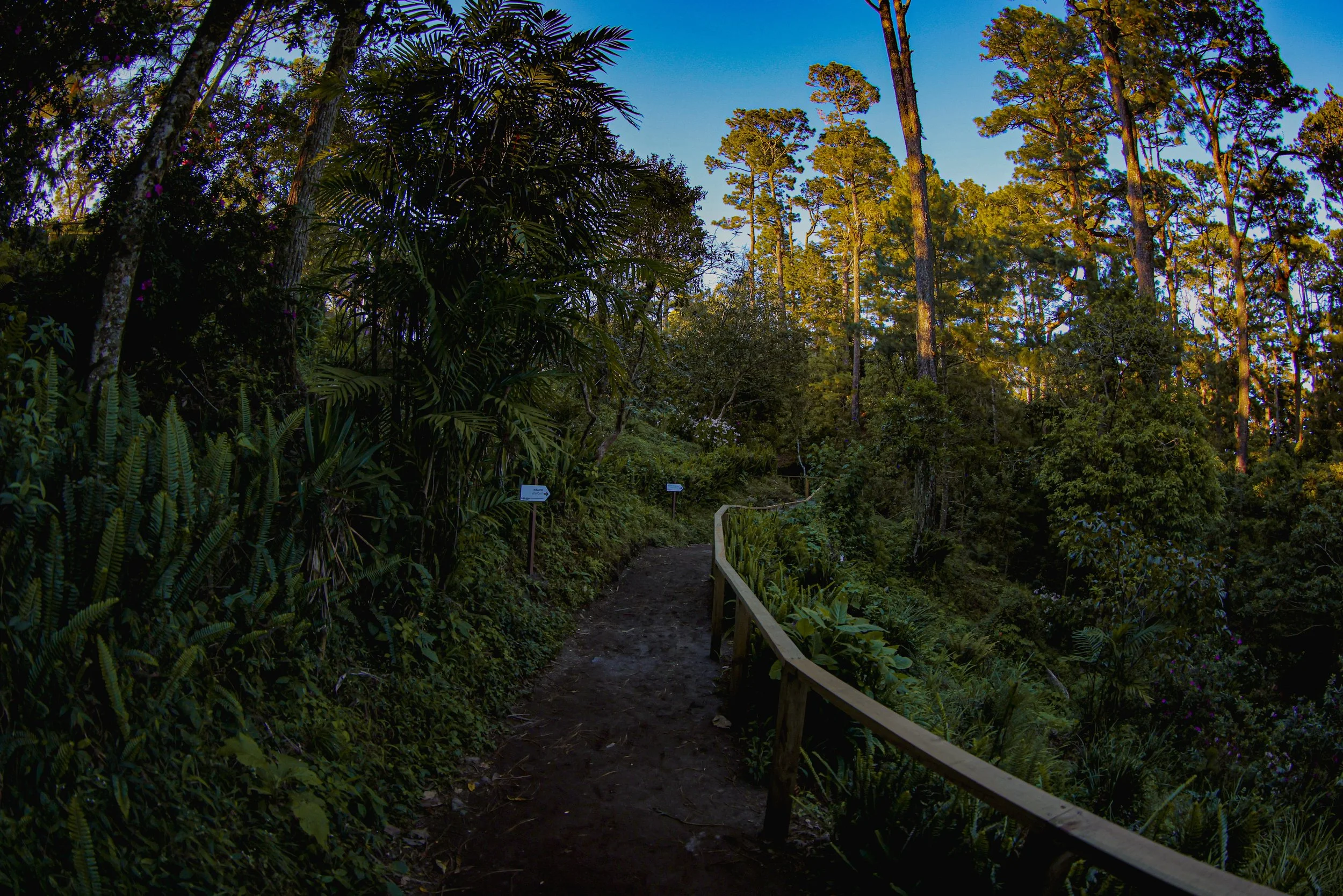 Parque Nacional El Boquerón 18.jpeg