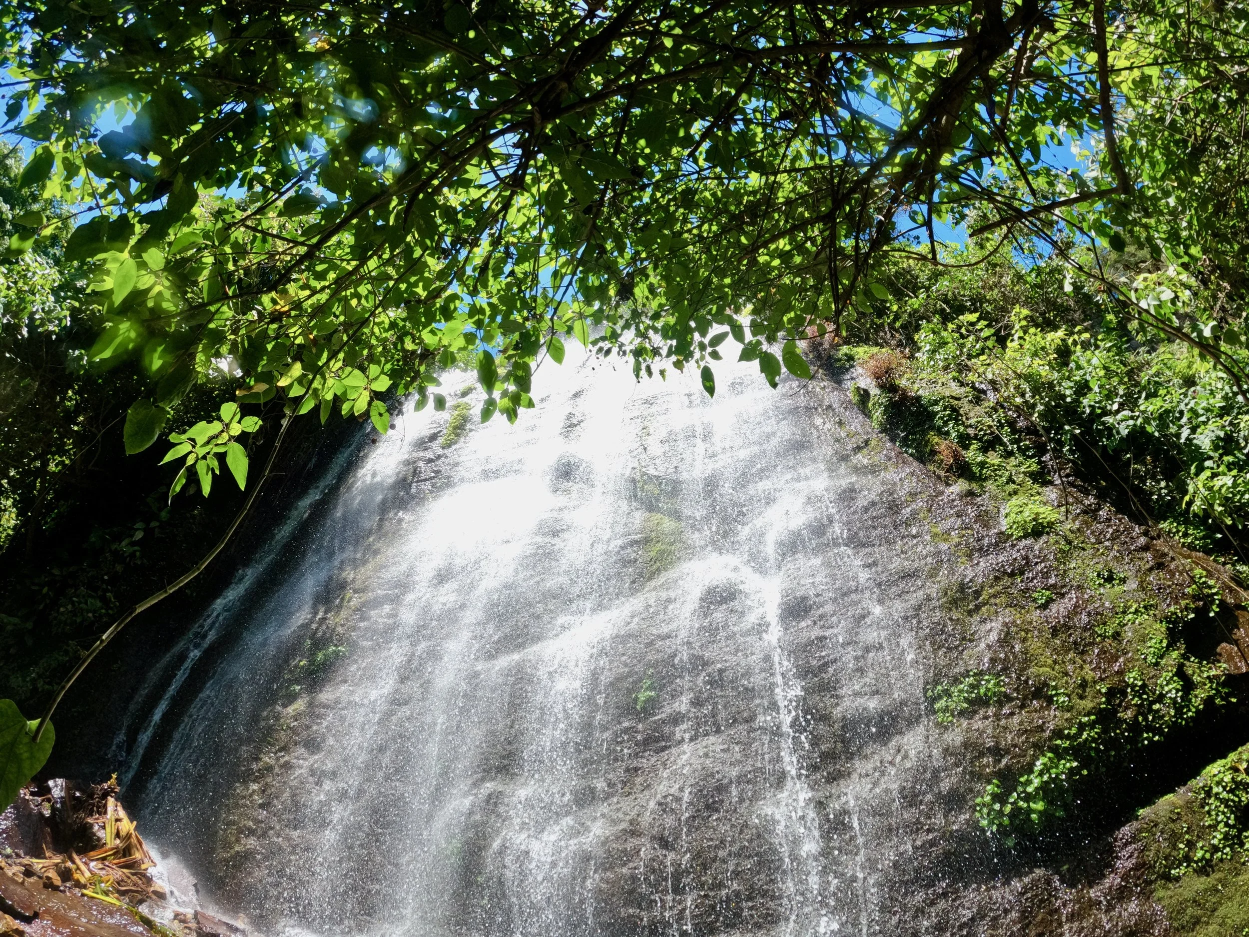 waterfall_JoseRivera.jpeg