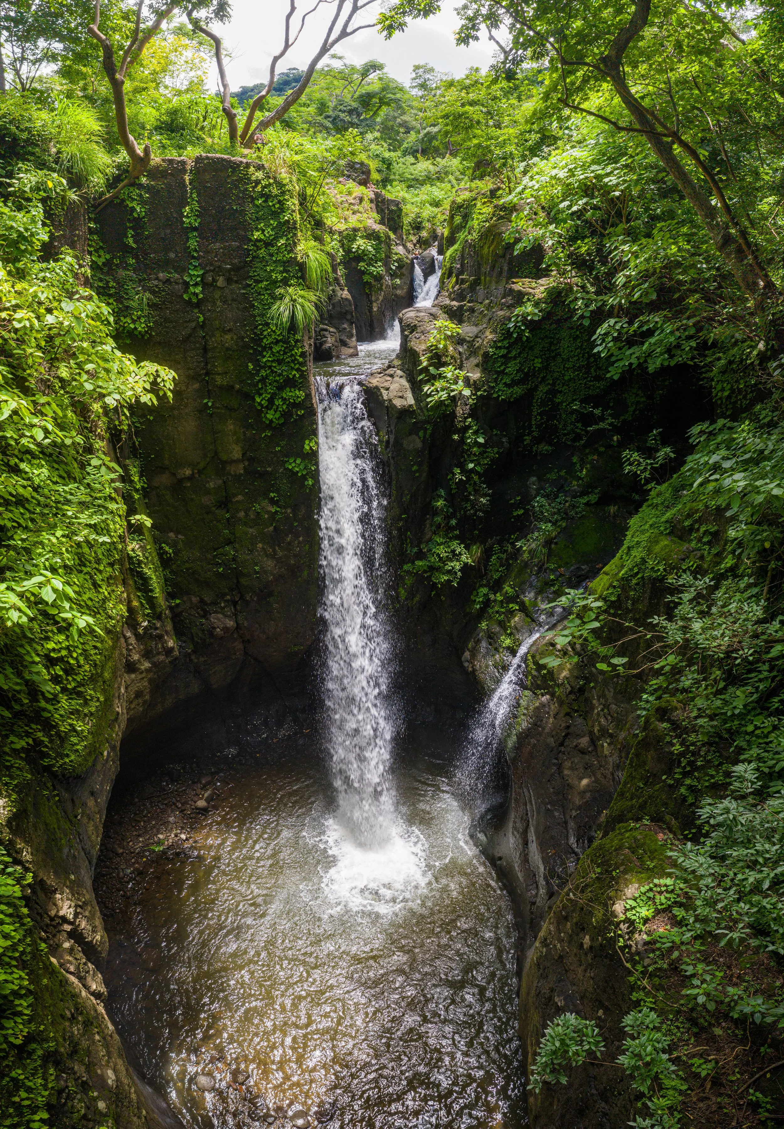 Waterfall in a lush, green forest with moss-covered rocks and trees, tamanique , El Salvador