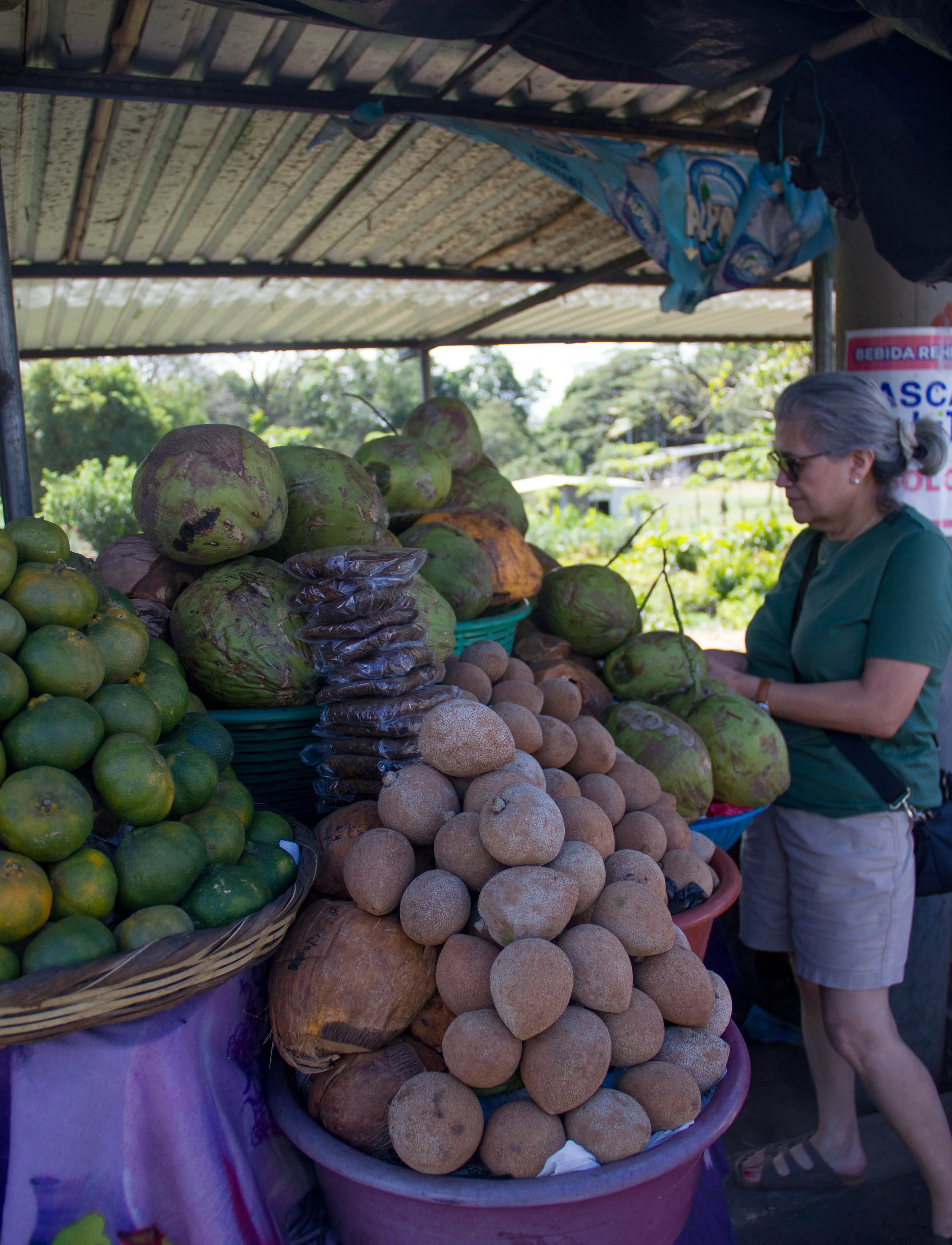 selecting the perfect coconut that is being sold by a street side pop up vendor in Rutas De Las Flores, El Salvador.