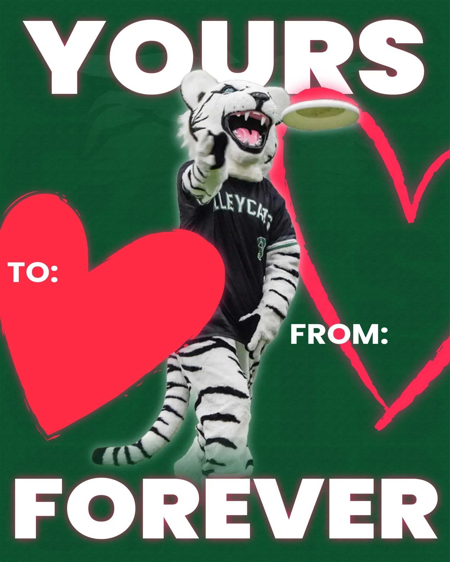 Need a last minute Valenties Day card? 💌 We've got you covered! Send your favorite person a little love letter from your favorite team! Happy Valentines Day Indy 🤍💚