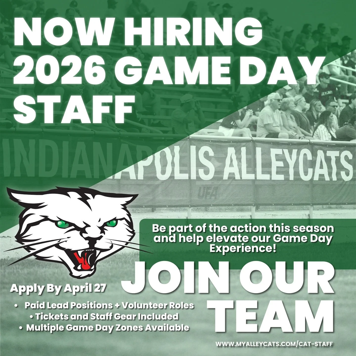 Want to get closer to the action this year? We are looking for people that want to help bring our Game Day experience to life! Come be a part of what we're building this year!

2026 Game Day applications are now live | Visit www.myalleycats.com/cat-s