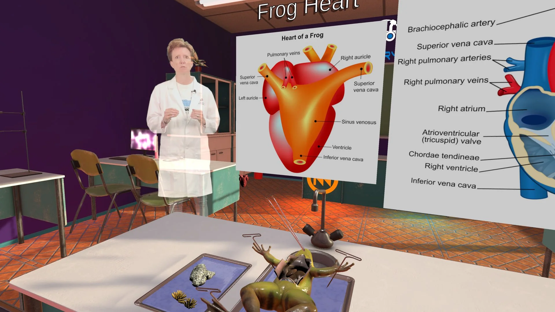A 3D-rendered illustration of a frog's heart with detailed labels and diagrams, a scientist in a white coat observing, educational posters, and a frog dissection in a laboratory setting.