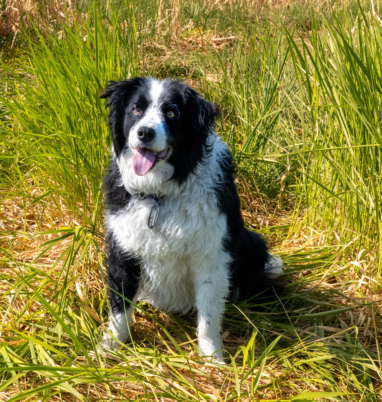 DSC_3359.jpg