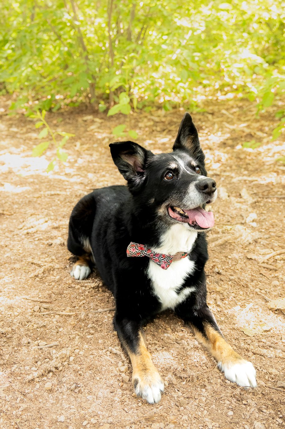 DSC_6352.jpg