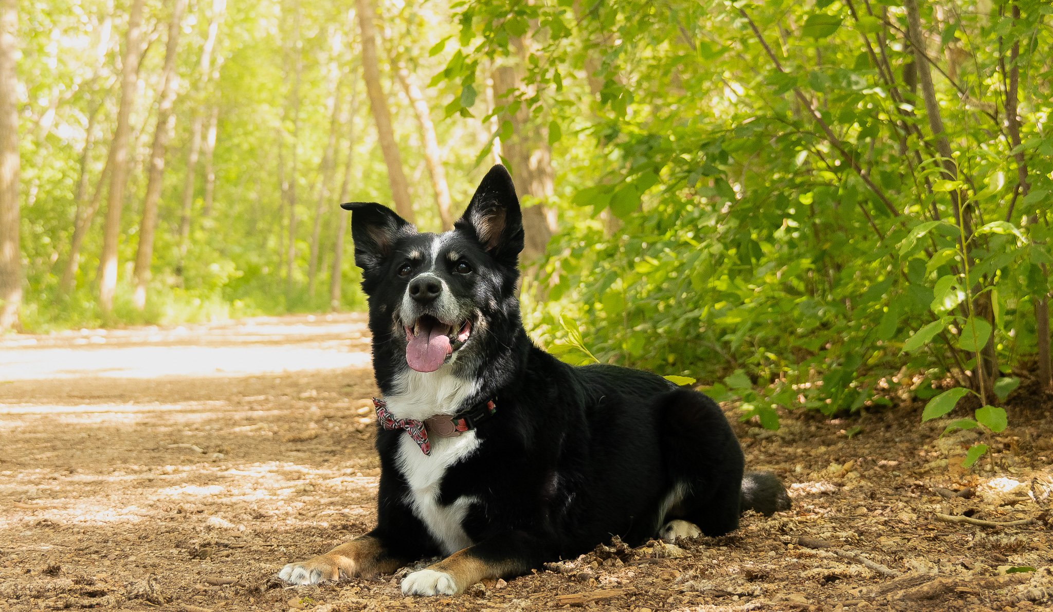 DSC_6380-Edit.jpg