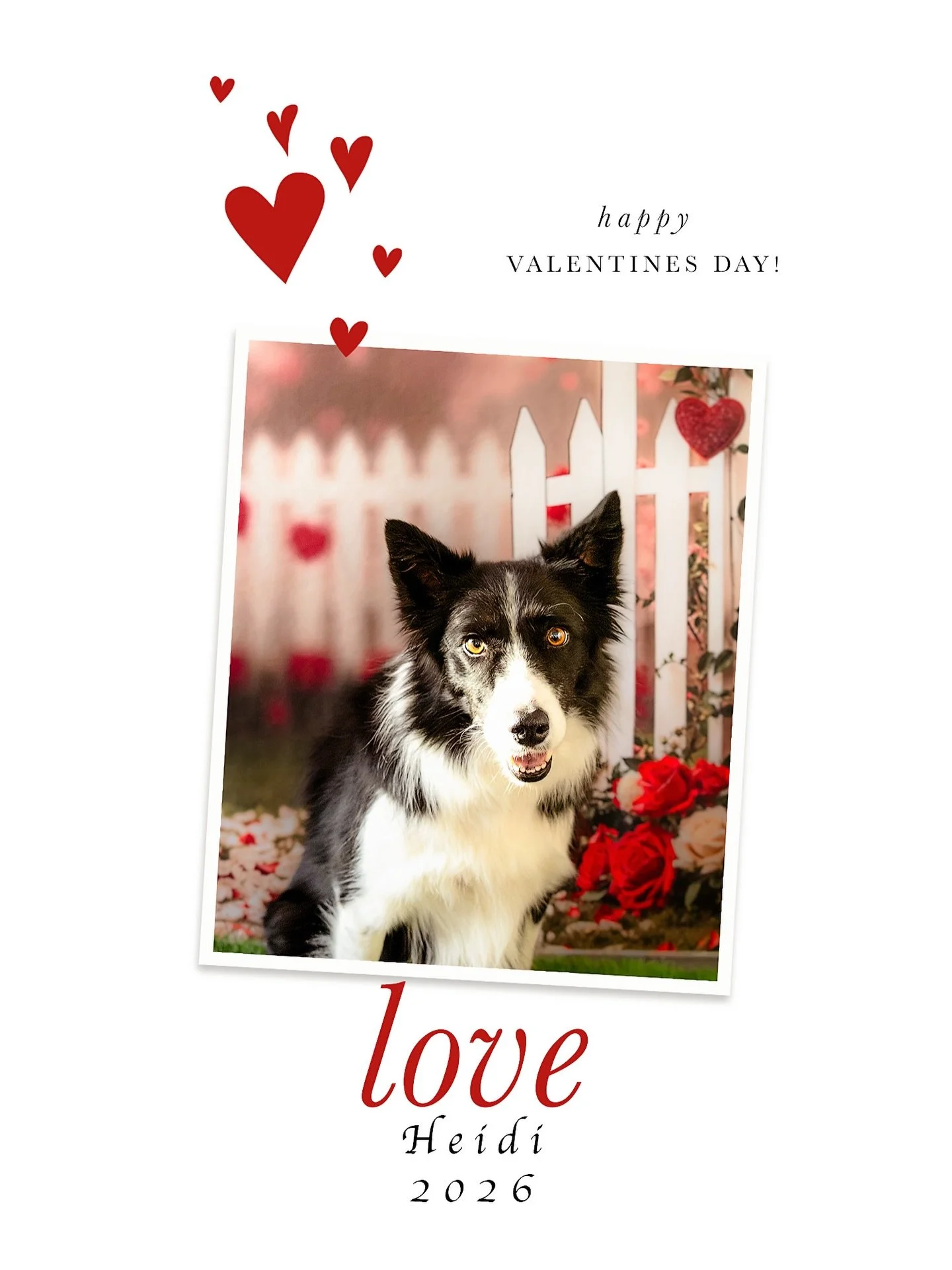 Come out for Valentine&rsquo;s themed photos, you don&rsquo;t want to miss this one!