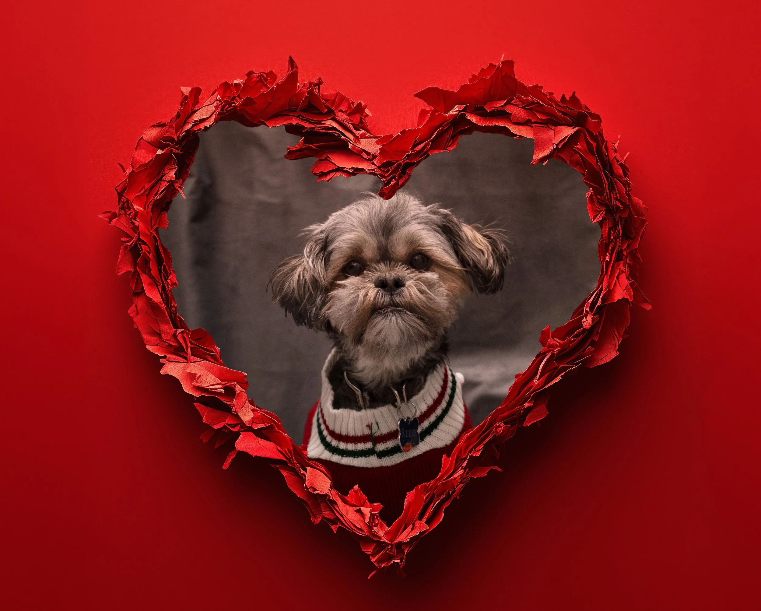 Valentines heart 2.jpg