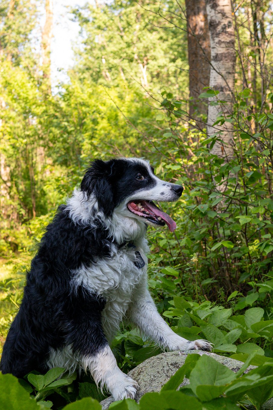DSC_3603.jpg