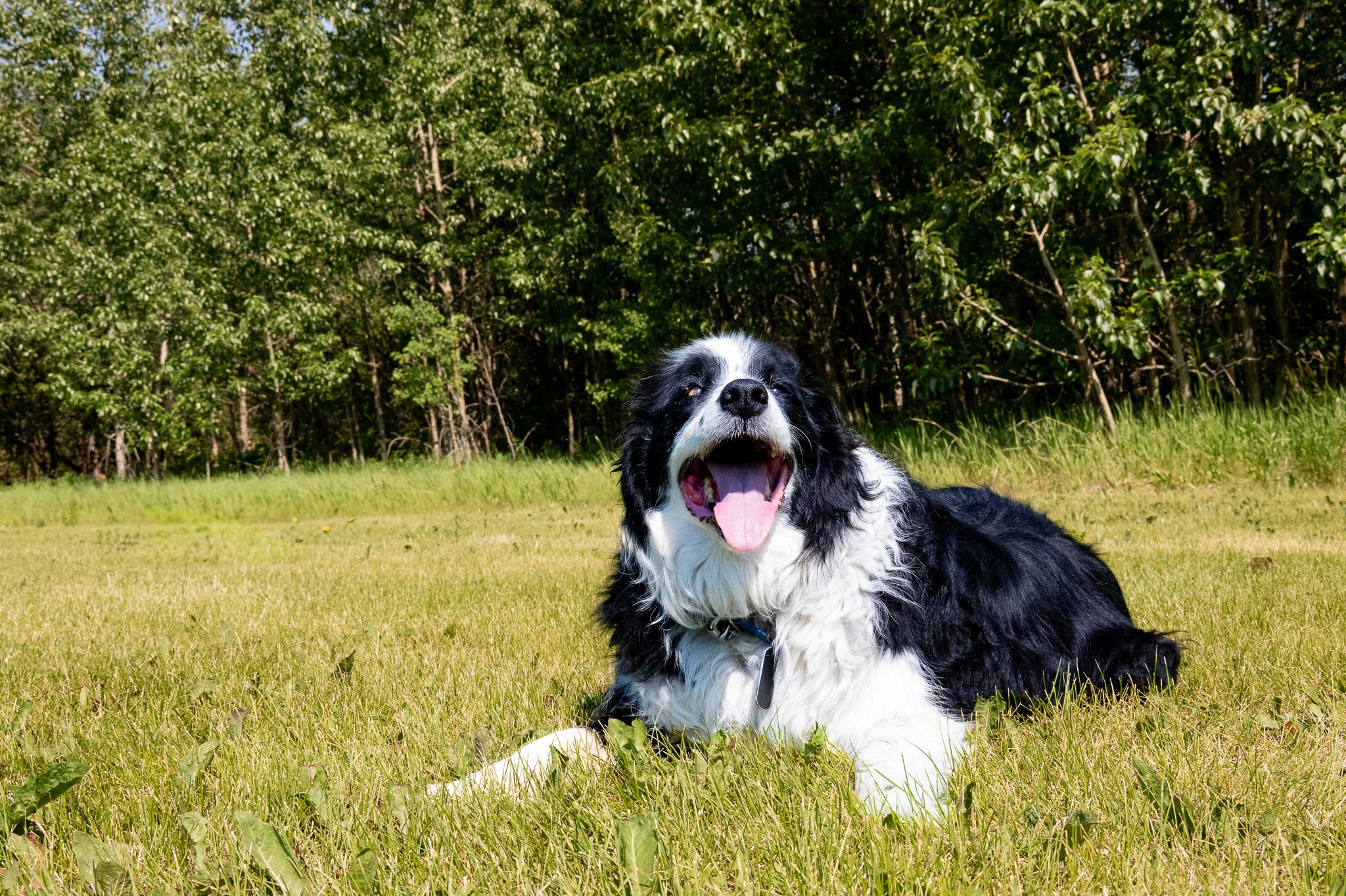 DSC_4690.jpg