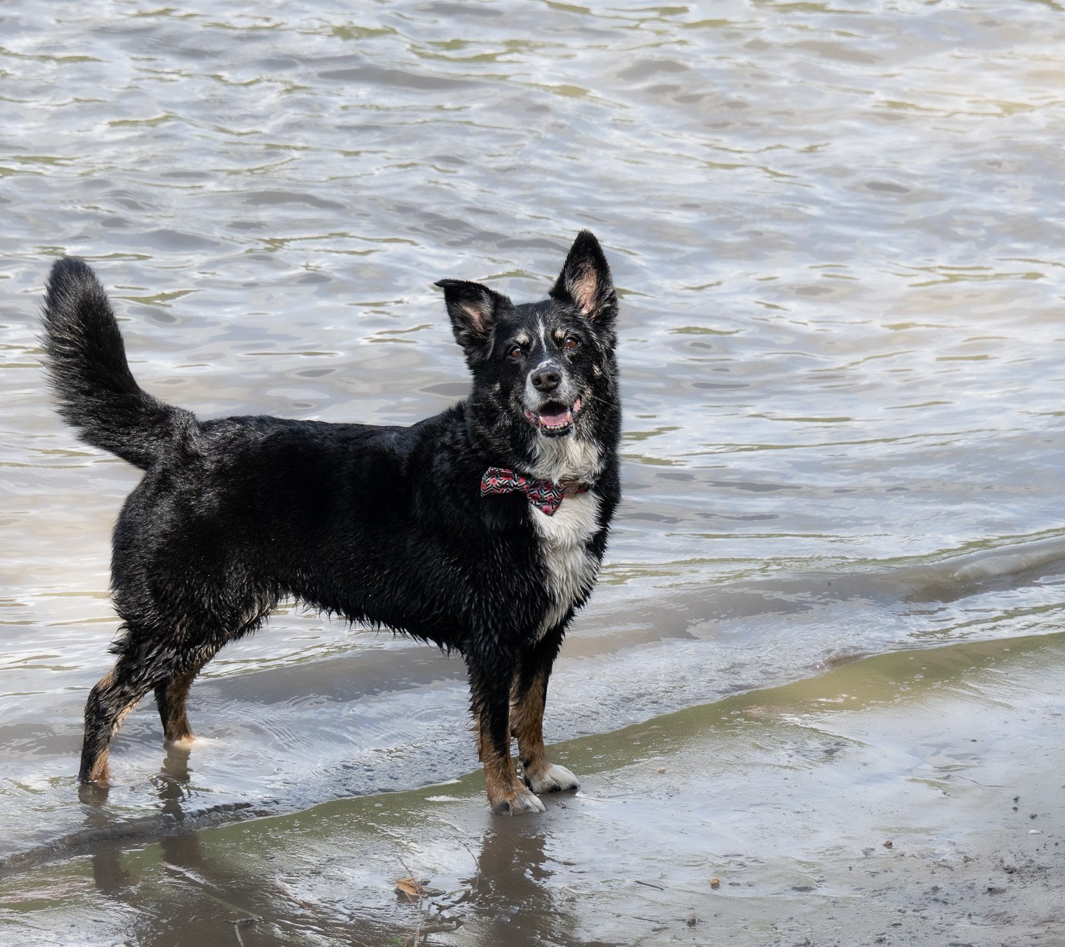 DSC_6960.jpg