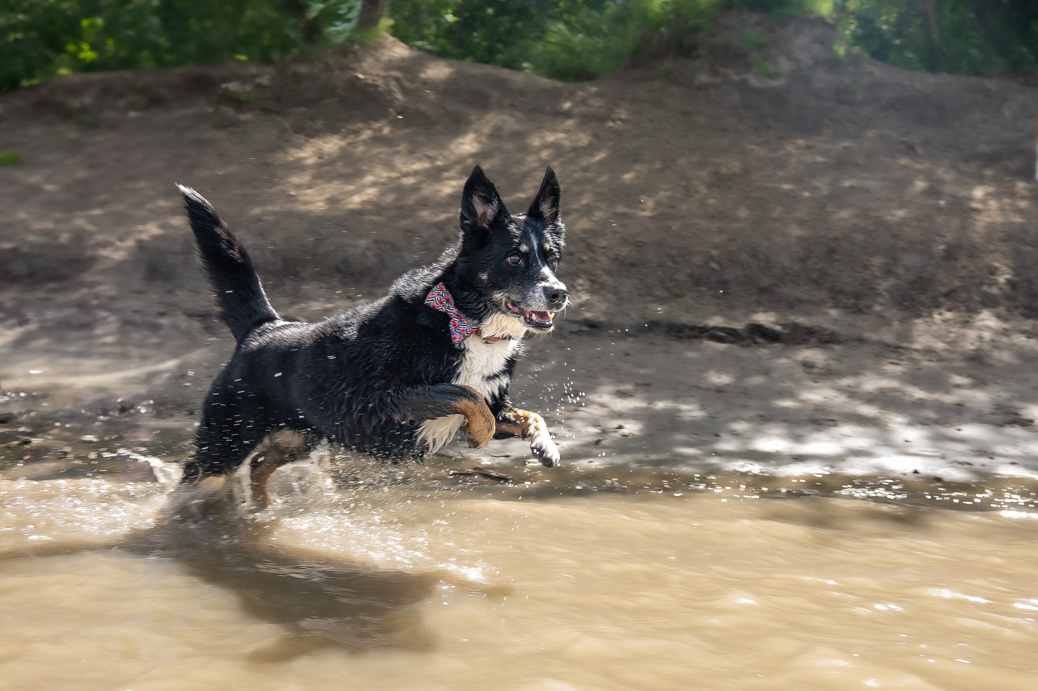 DSC_6883.jpg