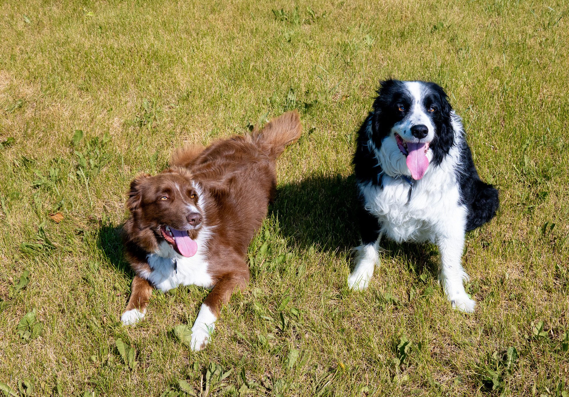 DSC_4789.jpg