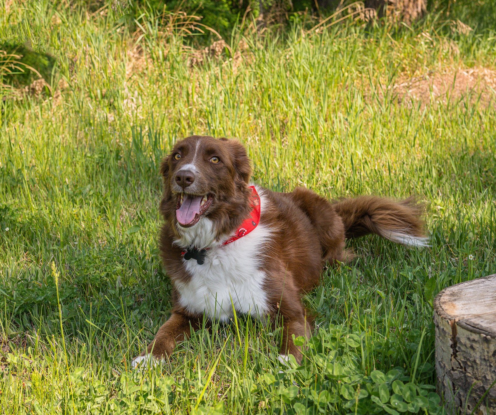 DSC_1226-Edit.jpg