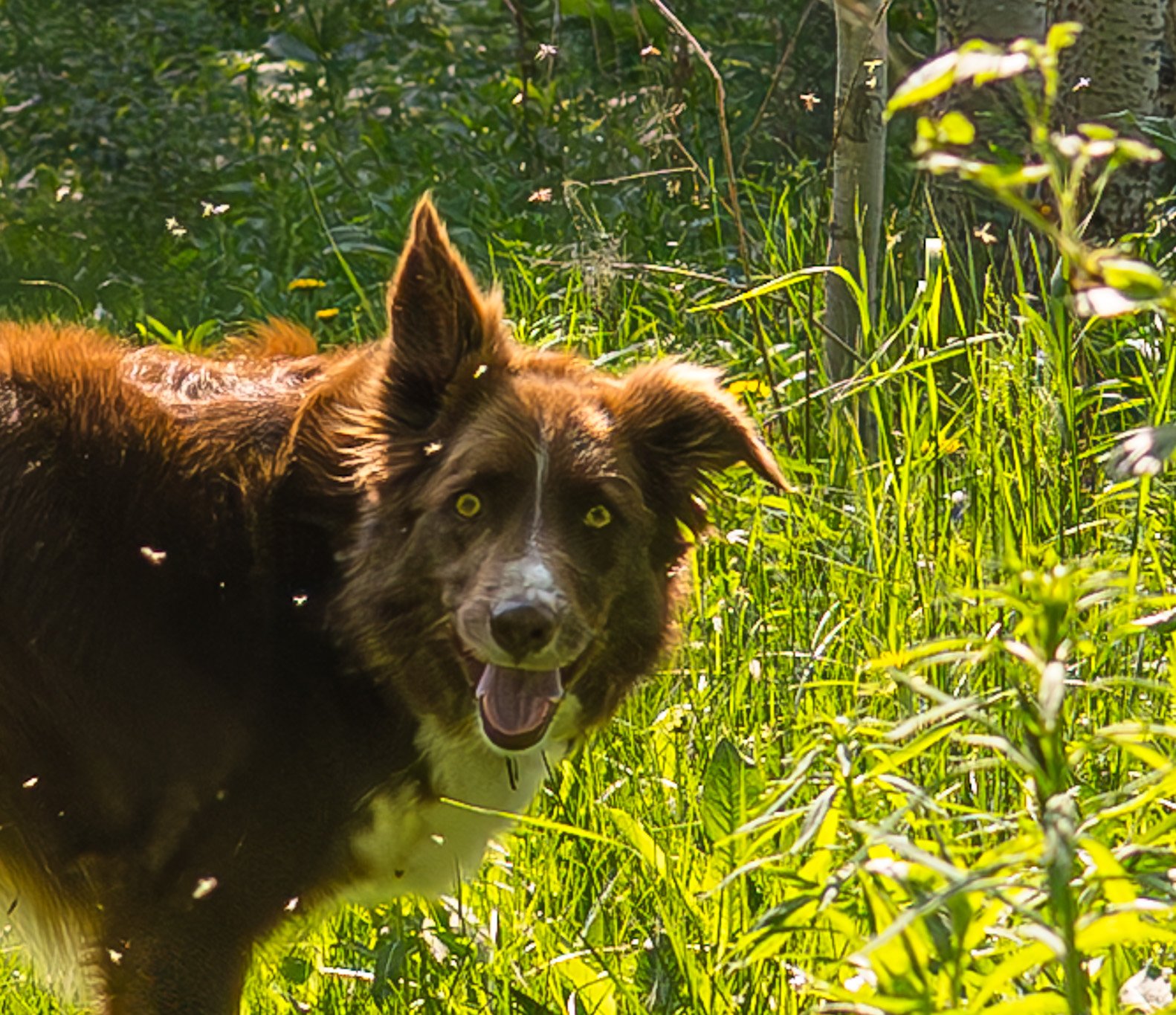 DSC_1148-Enhanced-NR.jpg