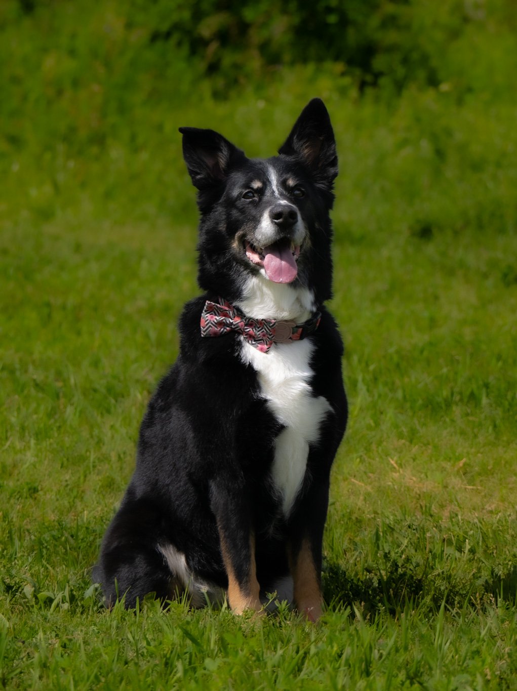 DSC_5997.jpg