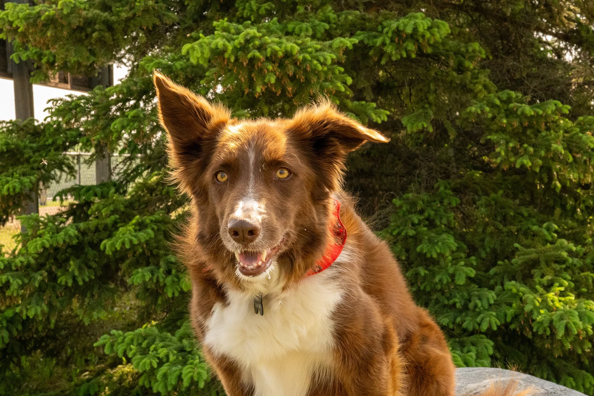 DSC_1577.jpg