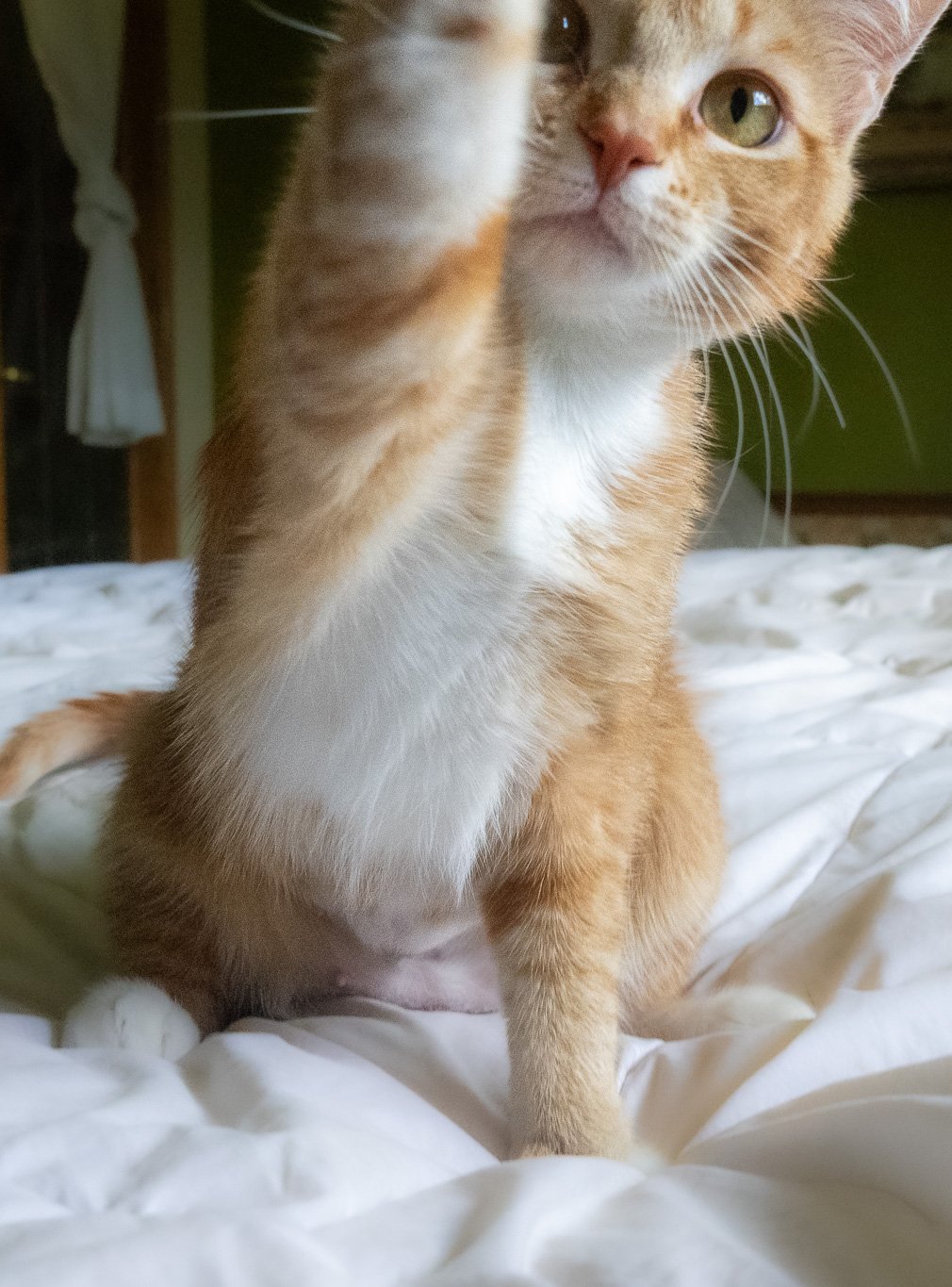 DSC_7975.jpg