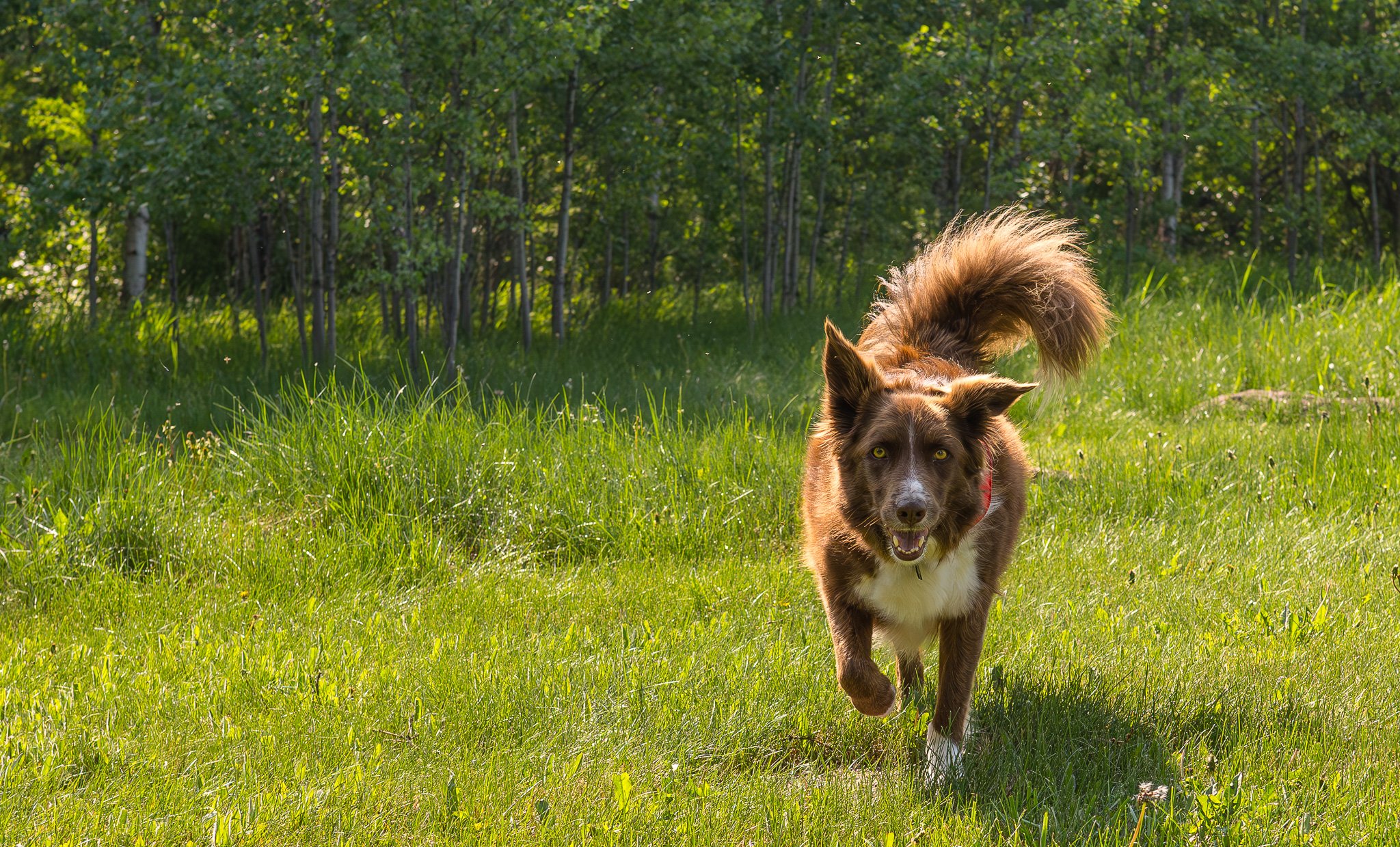 DSC_1203-Enhanced-NR.jpg