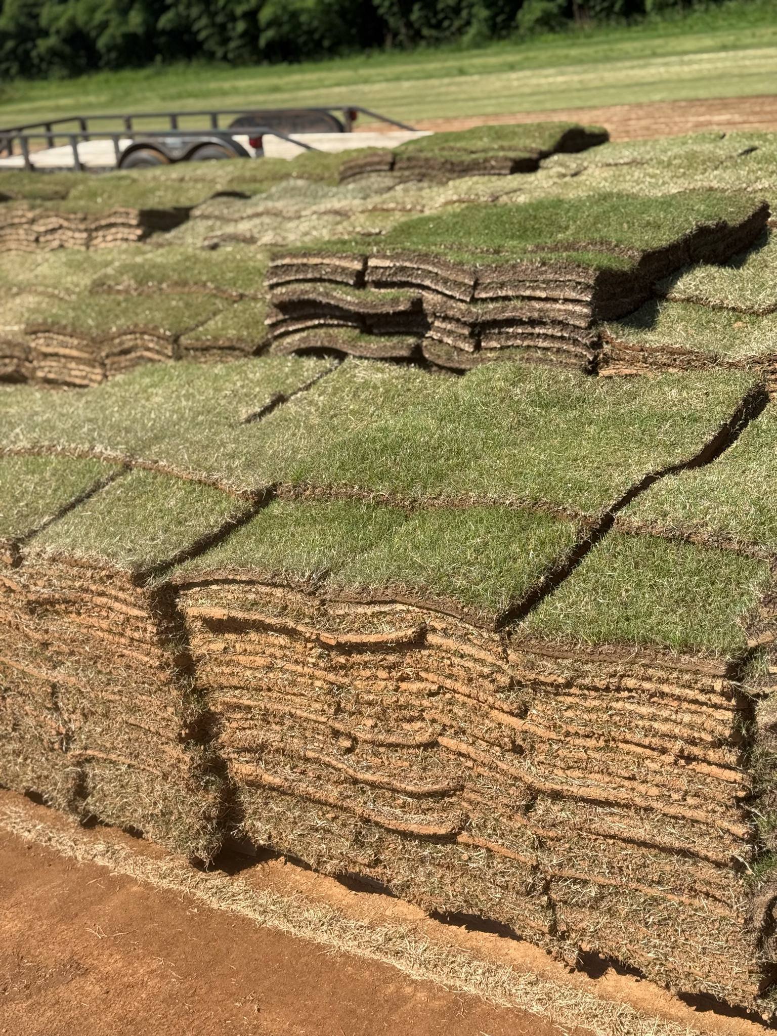 BERMUDA SOD TRANSPORT ONLY