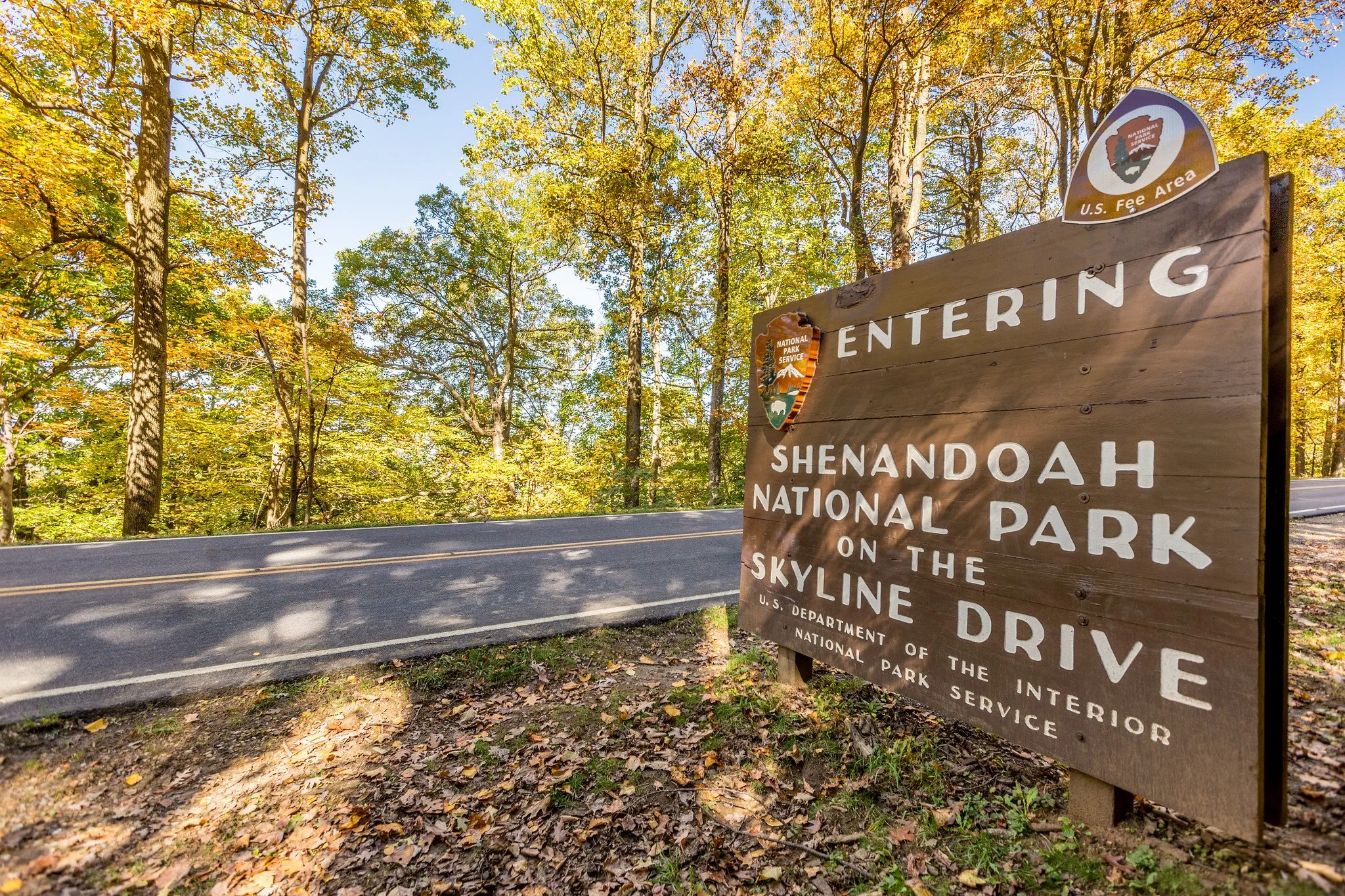 Skyline Drive Shendandoah National Park.jpg