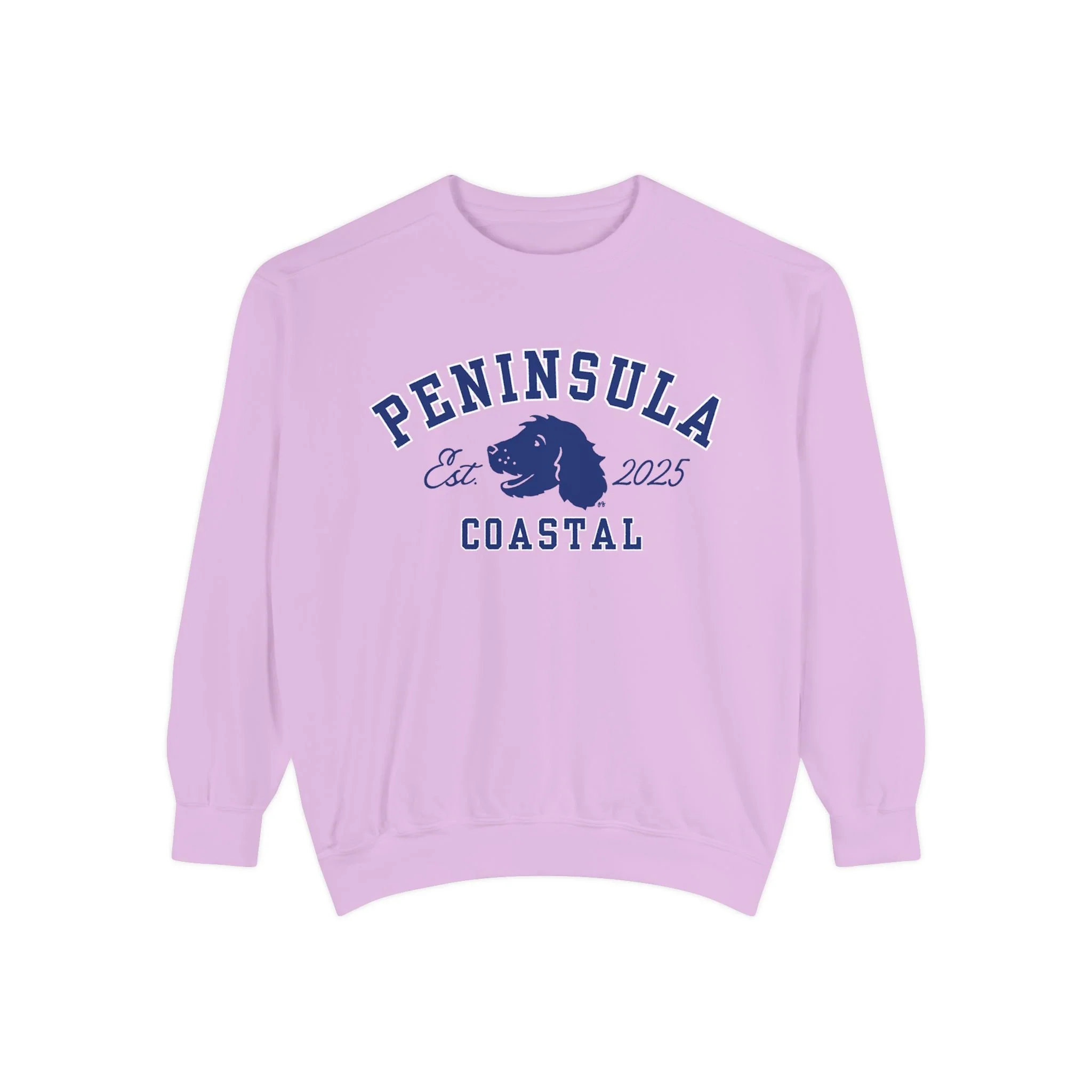 c824f5e9f50ef5d40bb14f7a253d67a1